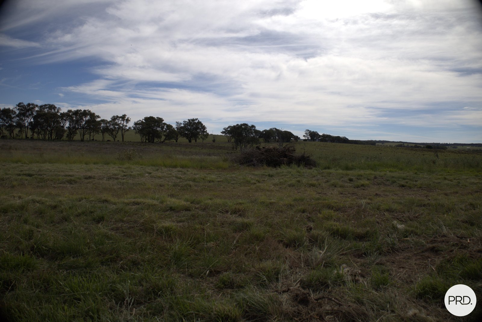 20 Burgoon Lane MOLONG 19