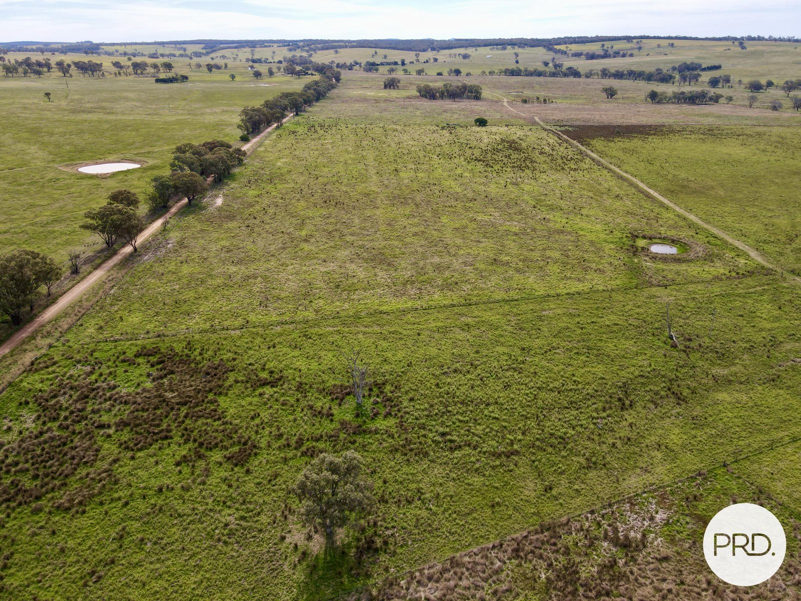 20 Burgoon Lane MOLONG 23