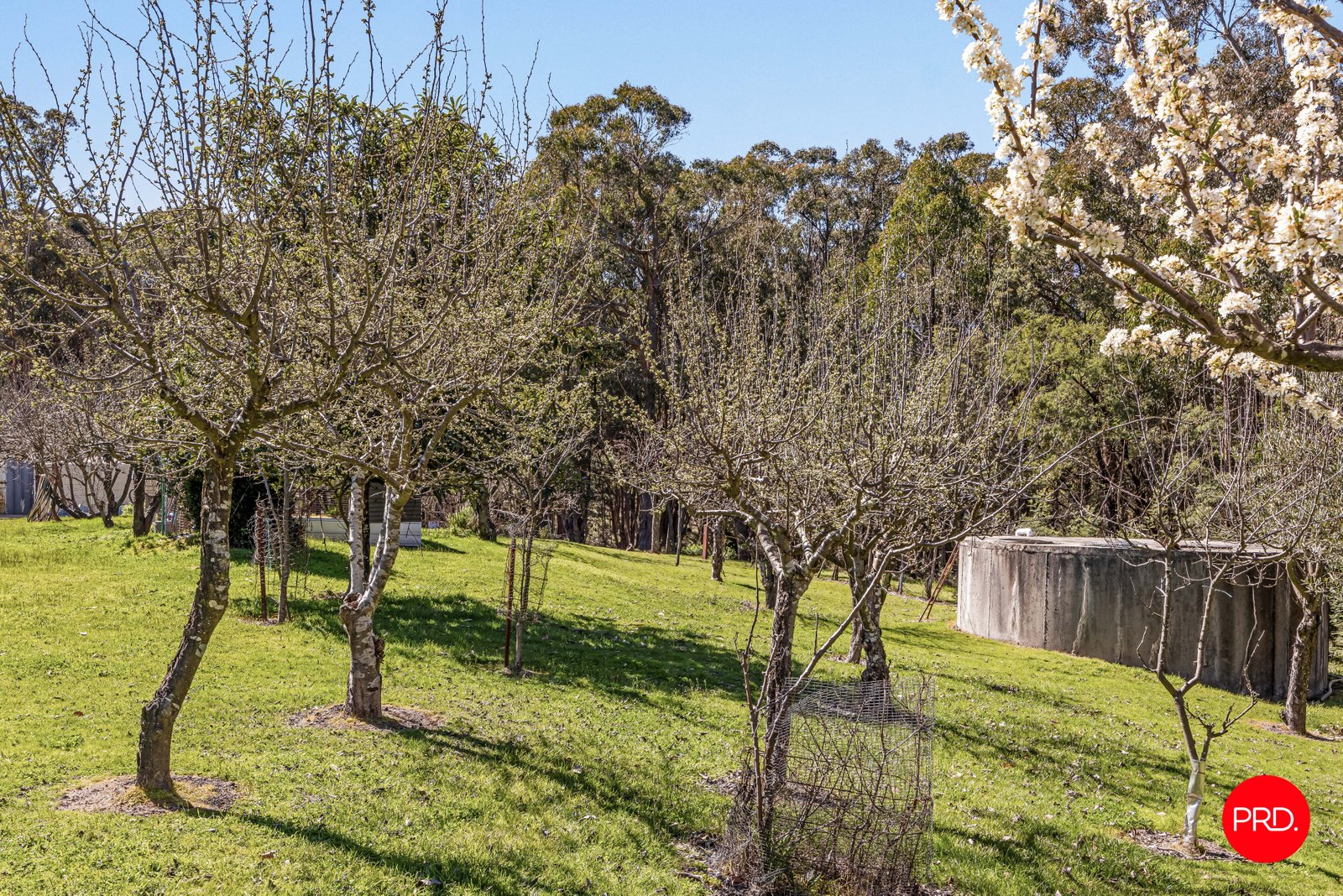 20 Bushmans Crescent DRUMMOND 17