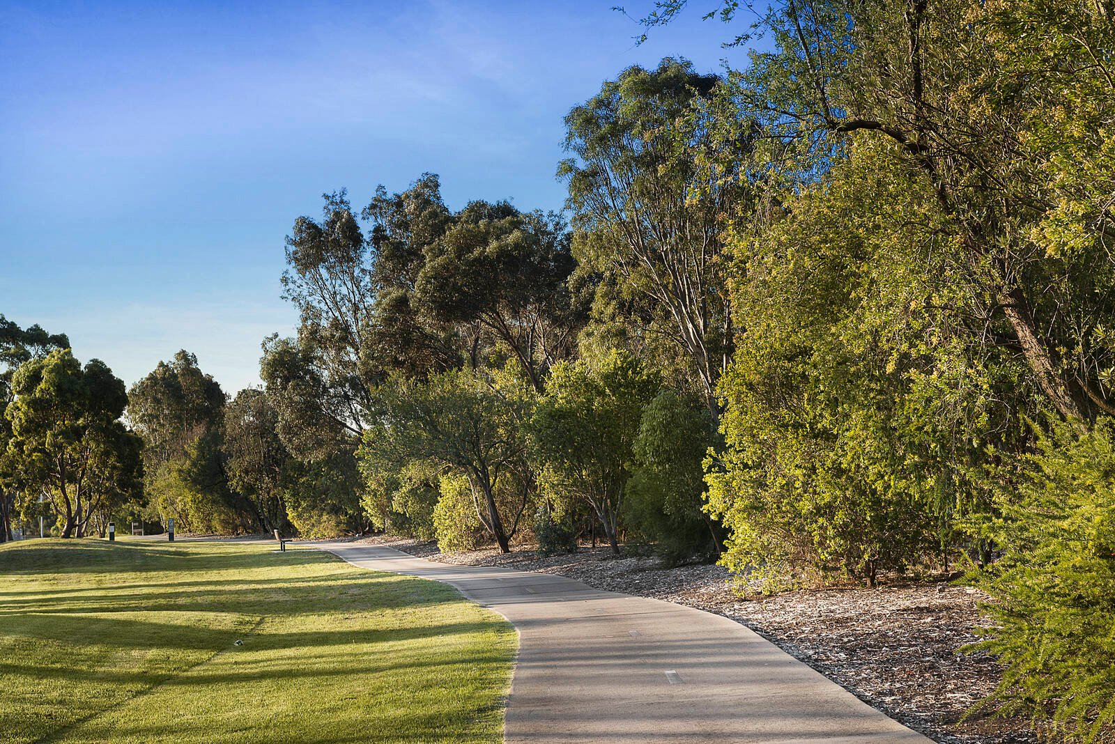 Real Estate and Property in 20 Campbell Street, Kew, VIC