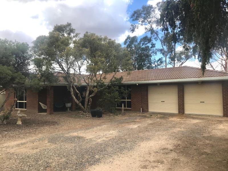 20 Carole Drive TAMWORTH 1