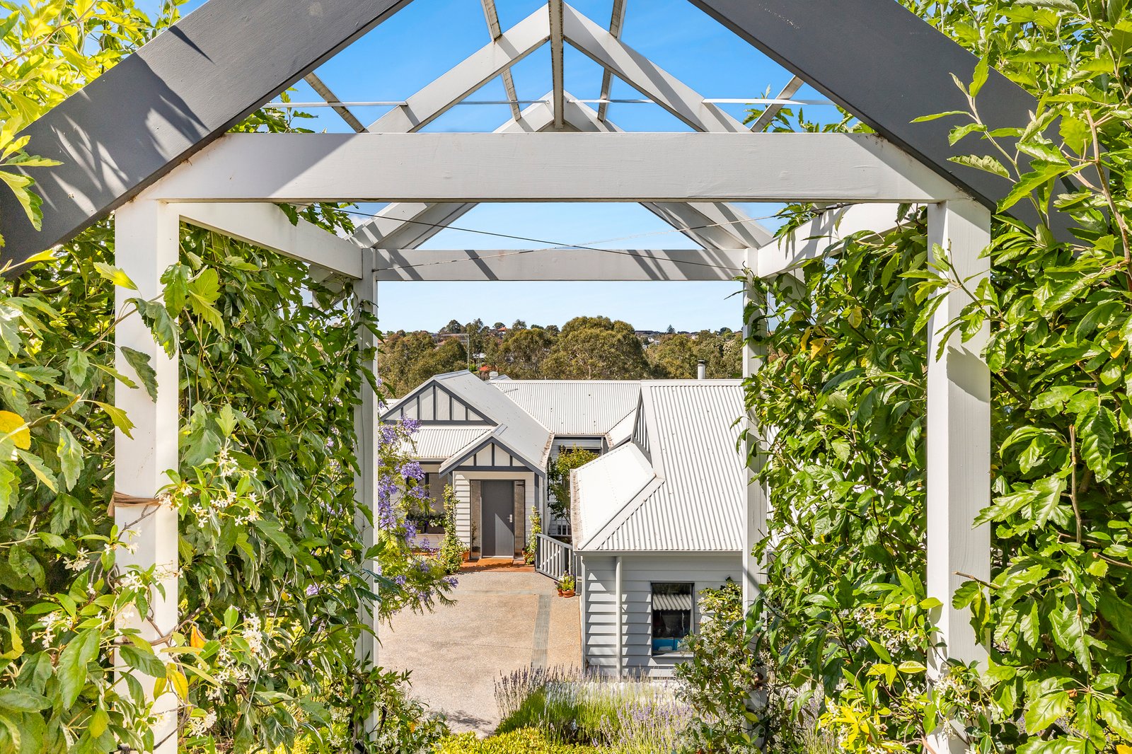 Gallery: 20 Carrol Grove