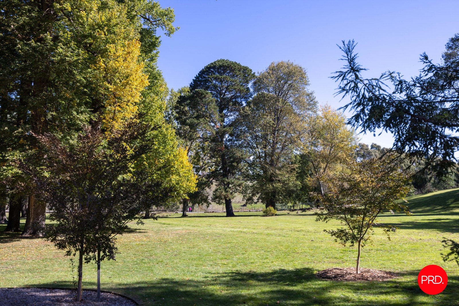 20 Clowes Street KYNETON 22