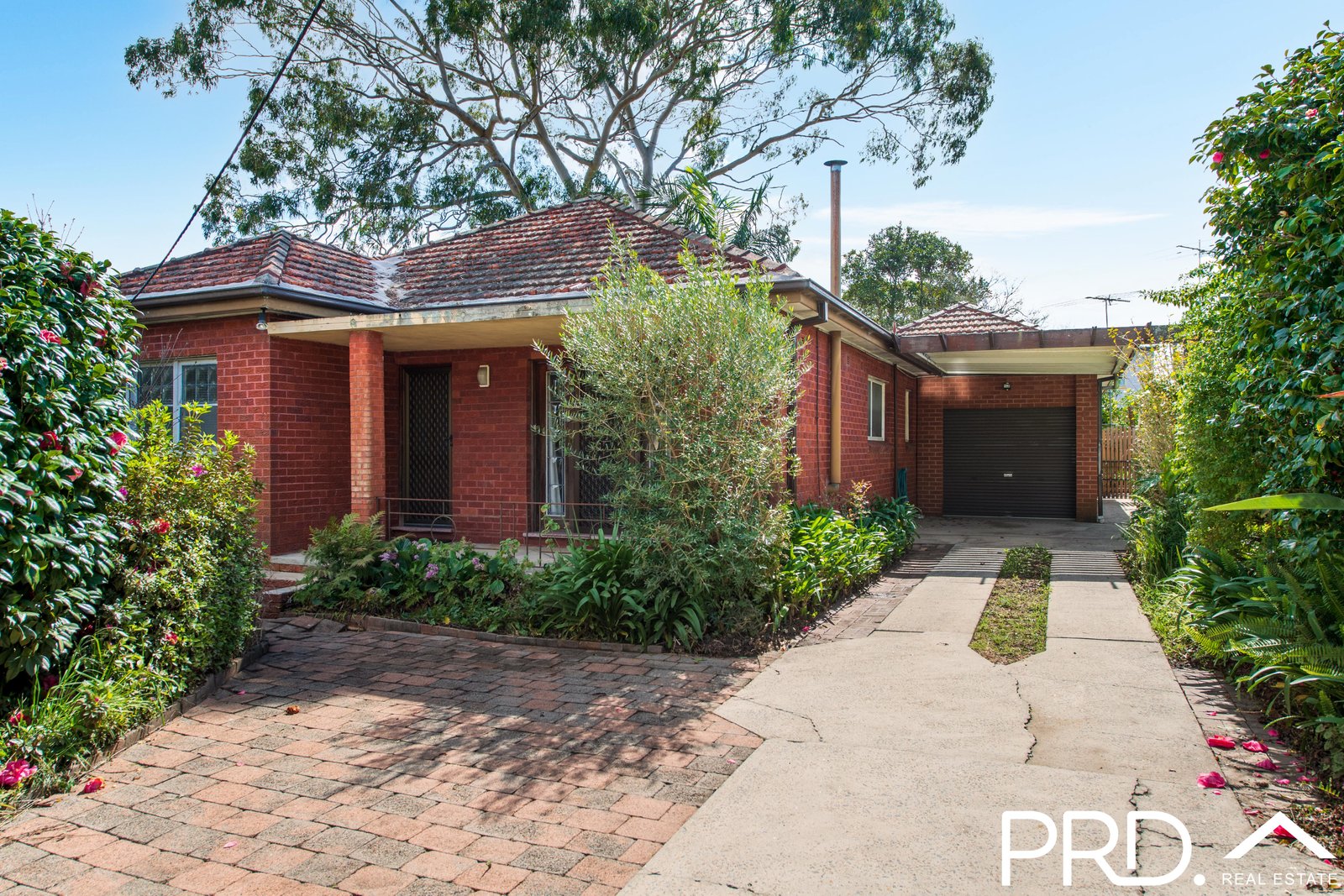 20 Donald Street PICNIC POINT 1