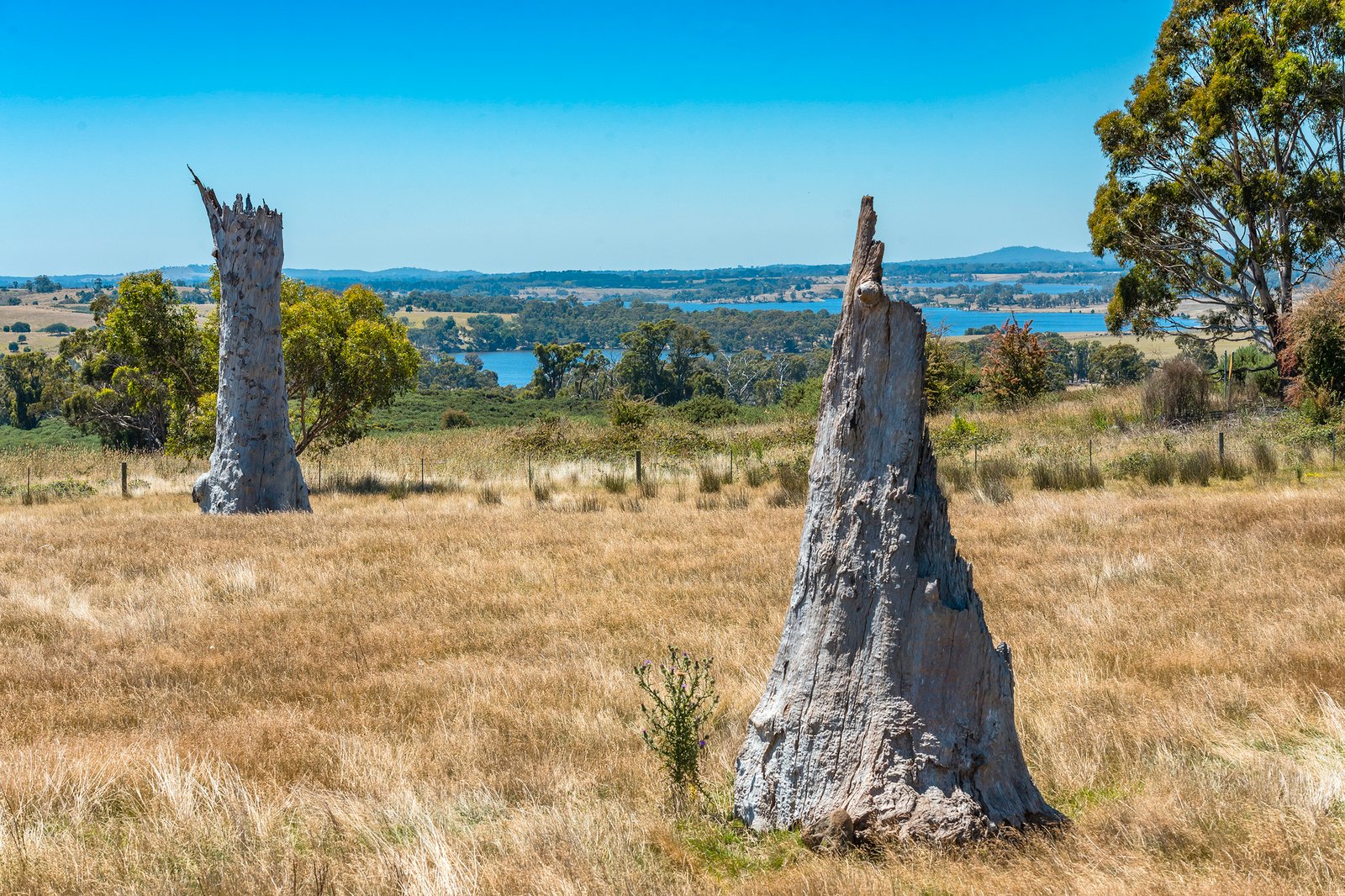 Real Estate and Property in 20 Evans Road, Tylden, VIC