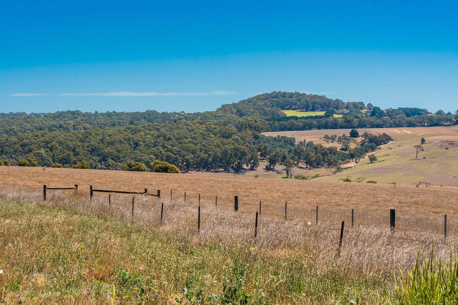 Real Estate and Property in 20 Evans Road, Tylden, VIC