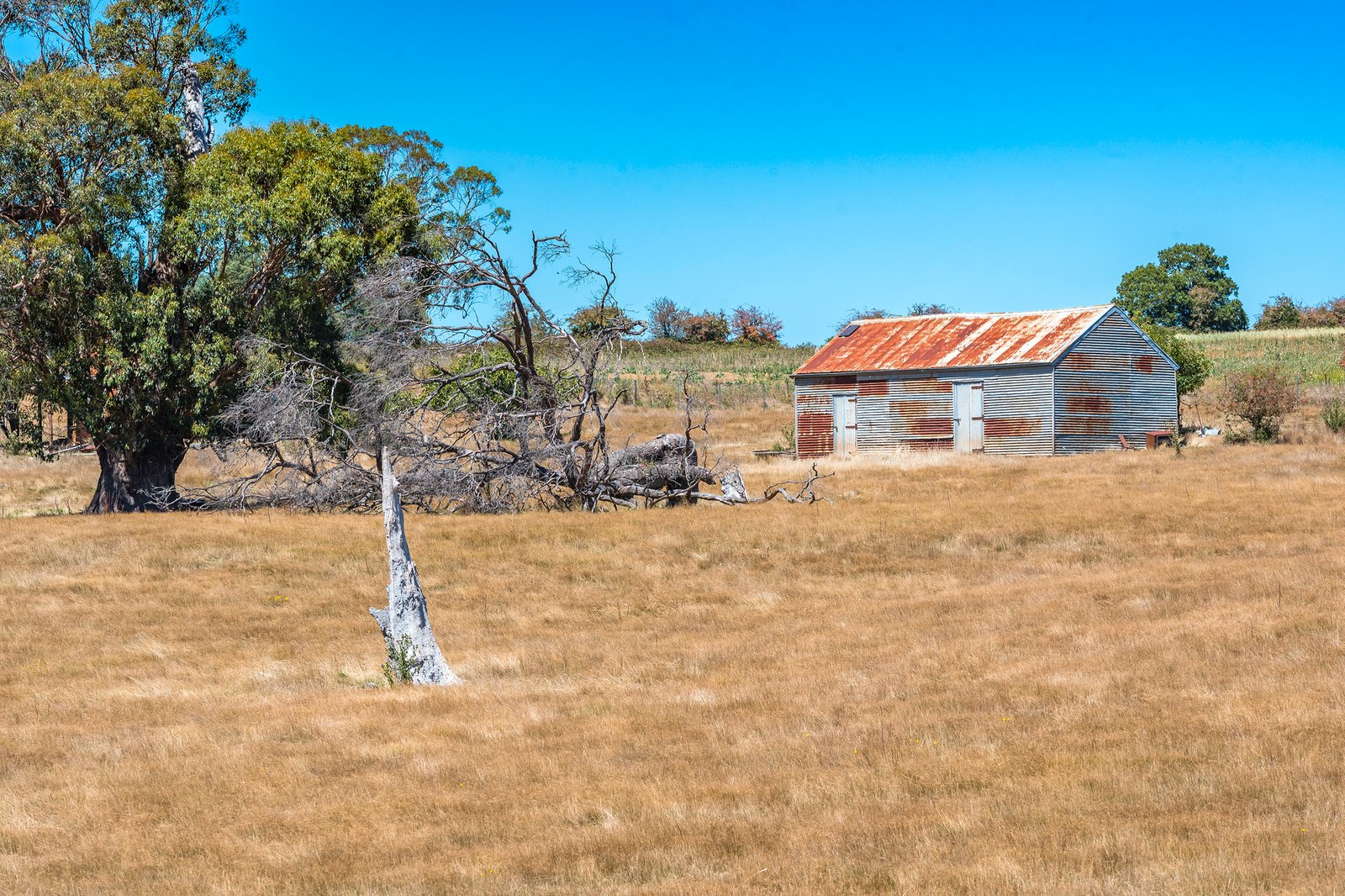 Real Estate and Property in 20 Evans Road, Tylden, VIC