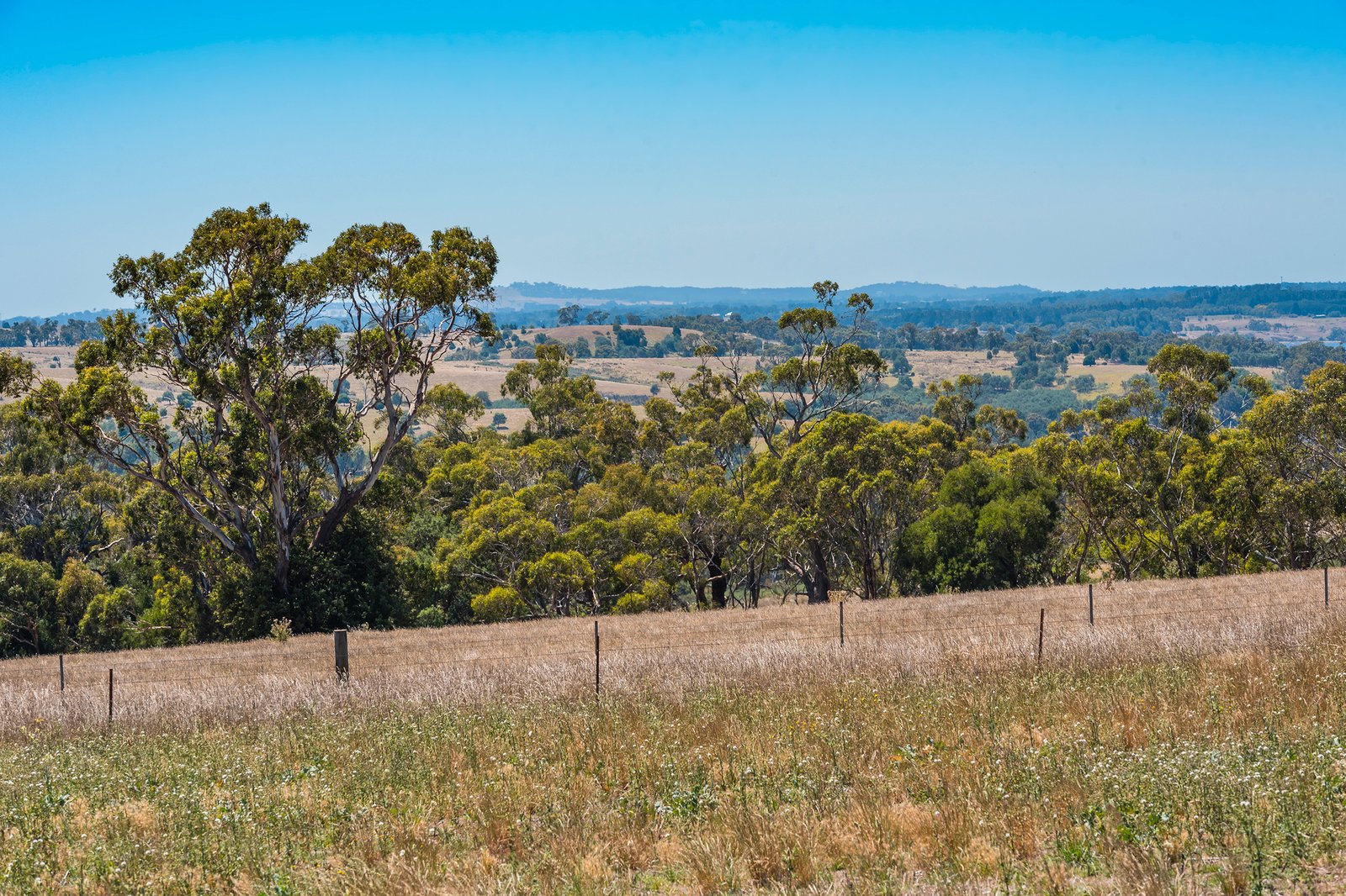 Real Estate and Property in 20 Evans Road, Tylden, VIC