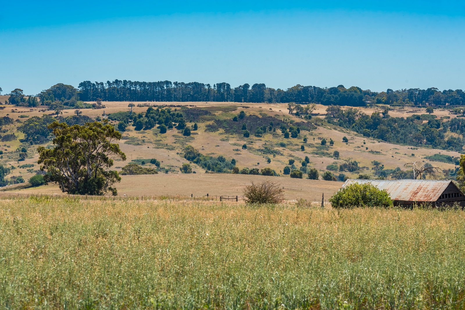 Real Estate and Property in 20 Evans Road, Tylden, VIC