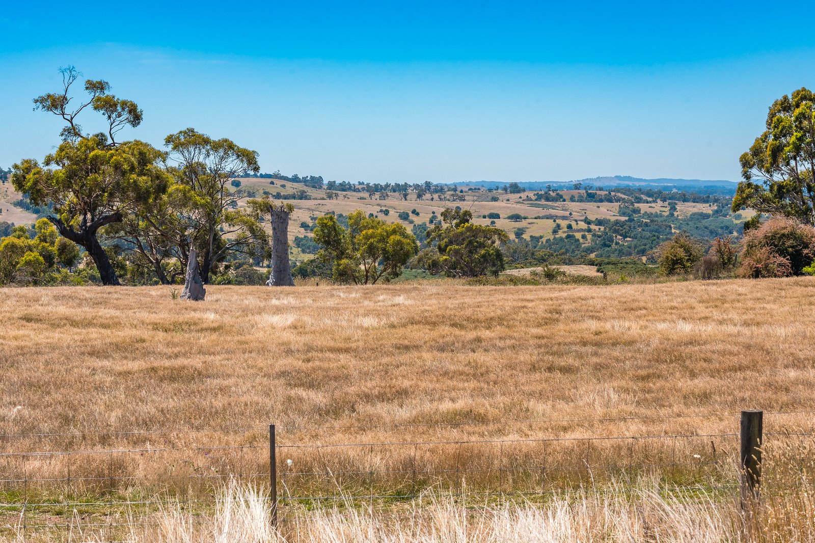Real Estate and Property in 20 Evans Road, Tylden, VIC
