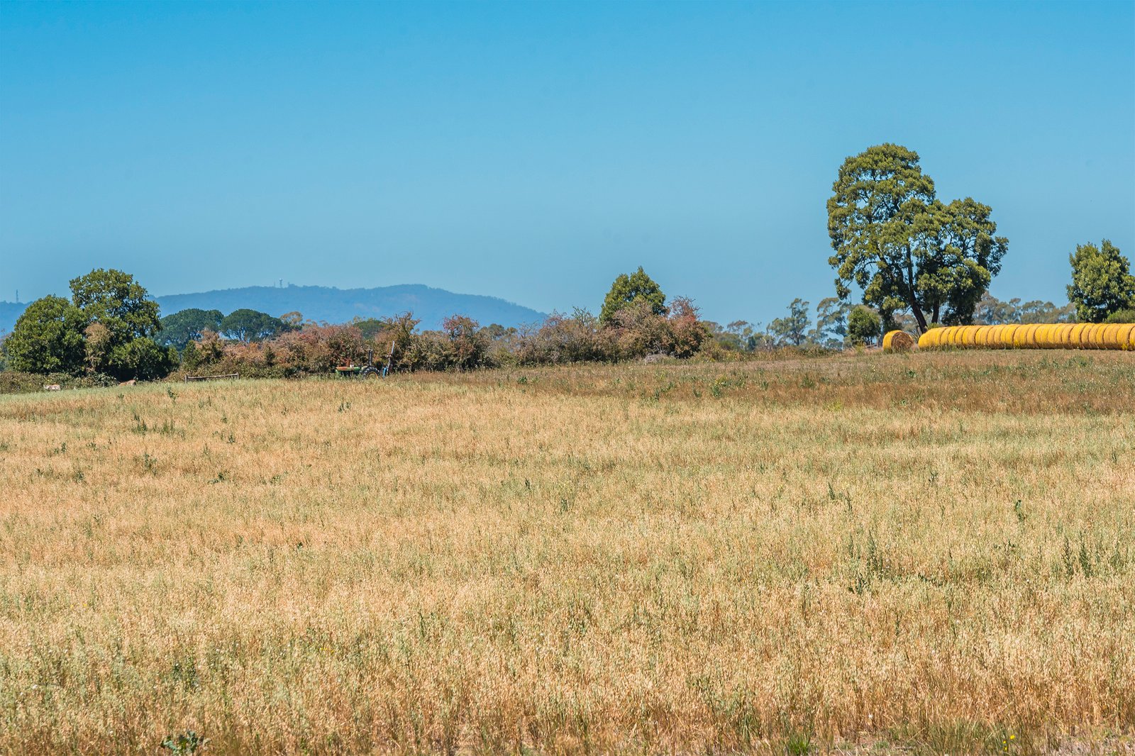 Real Estate and Property in 20 Evans Road, Tylden, VIC