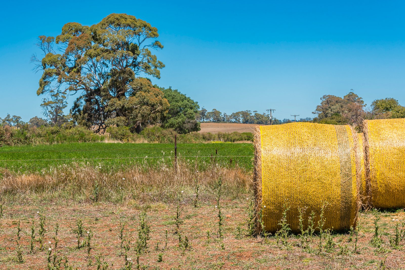 Real Estate and Property in 20 Evans Road, Tylden, VIC