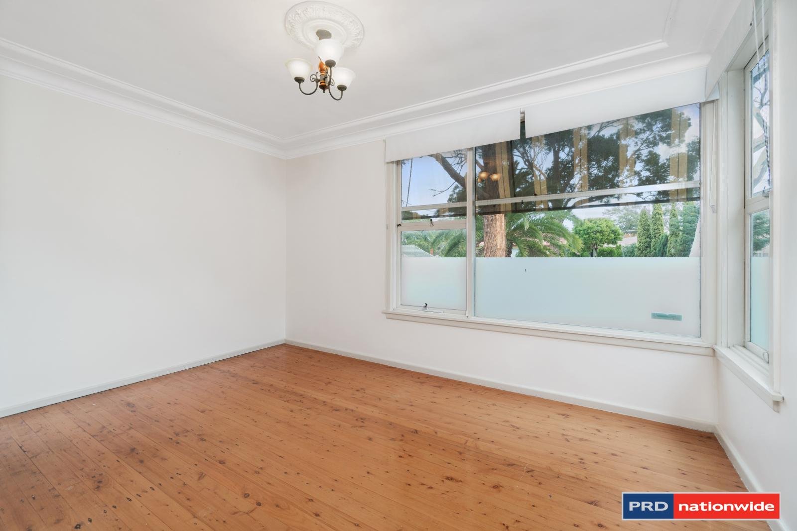 20 Forrest Road EAST HILLS 4