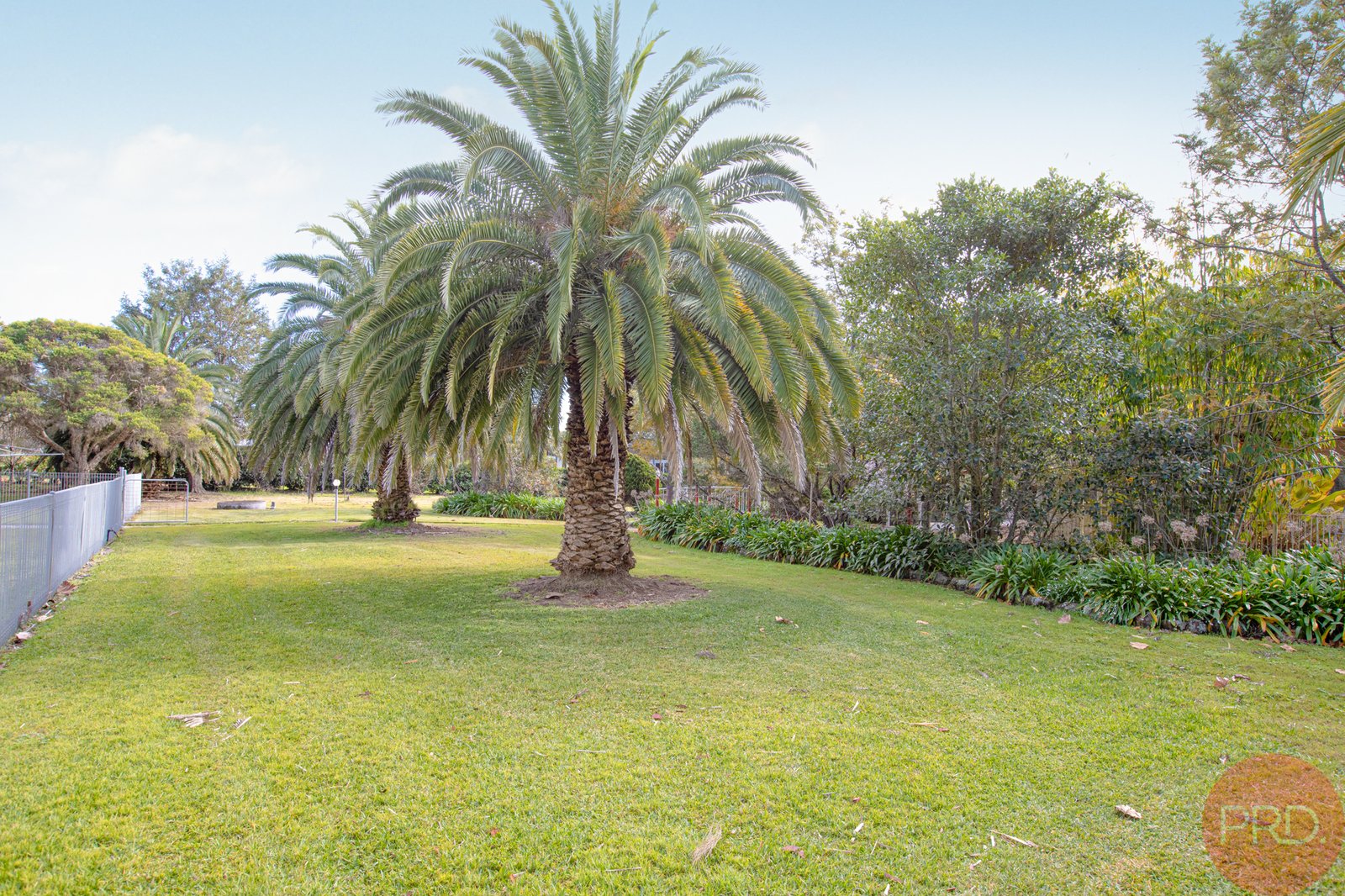 20 FORSYTHE Parade BLACK HILL 24