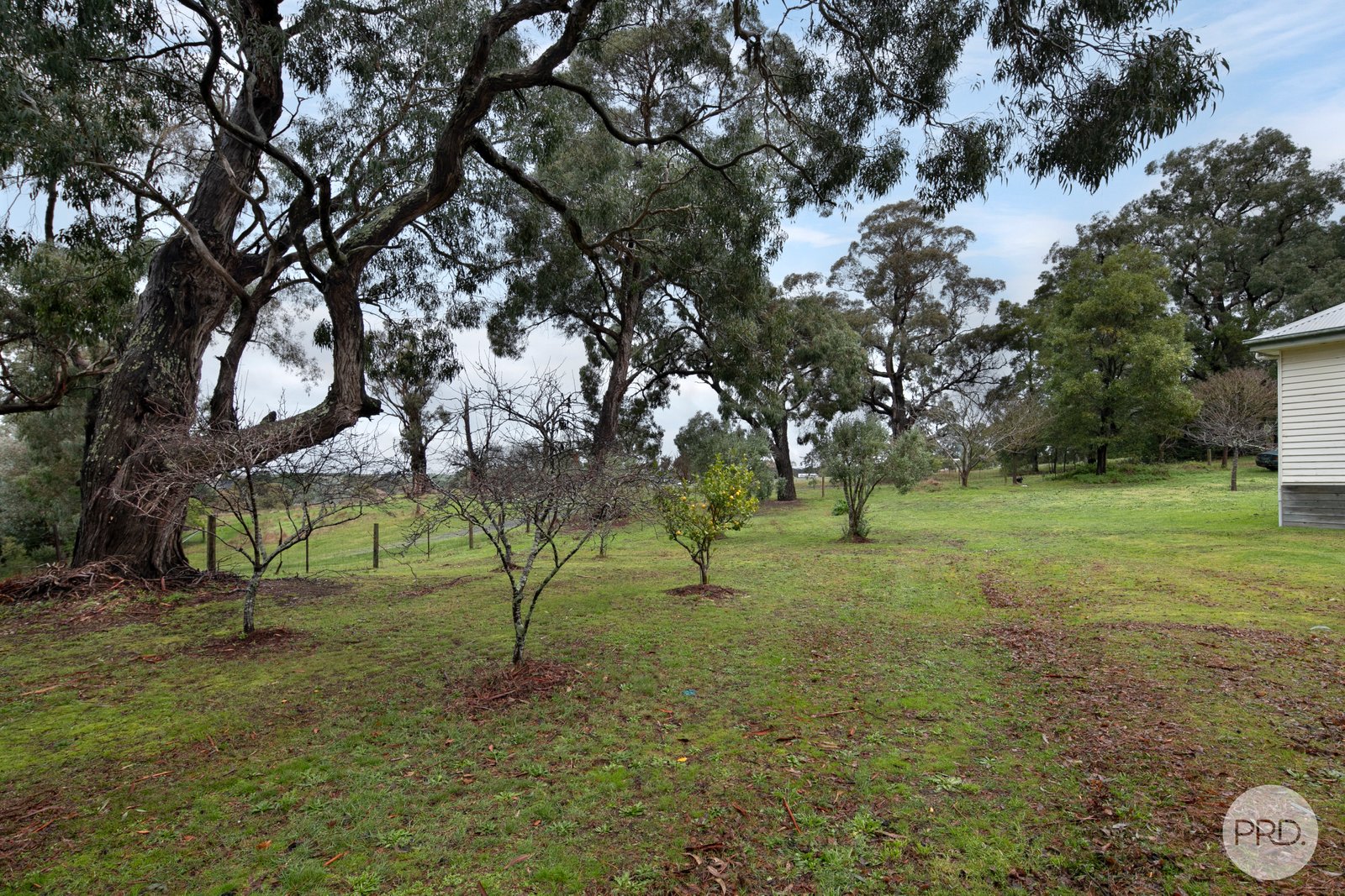 20 Fraser Street LINTON 12