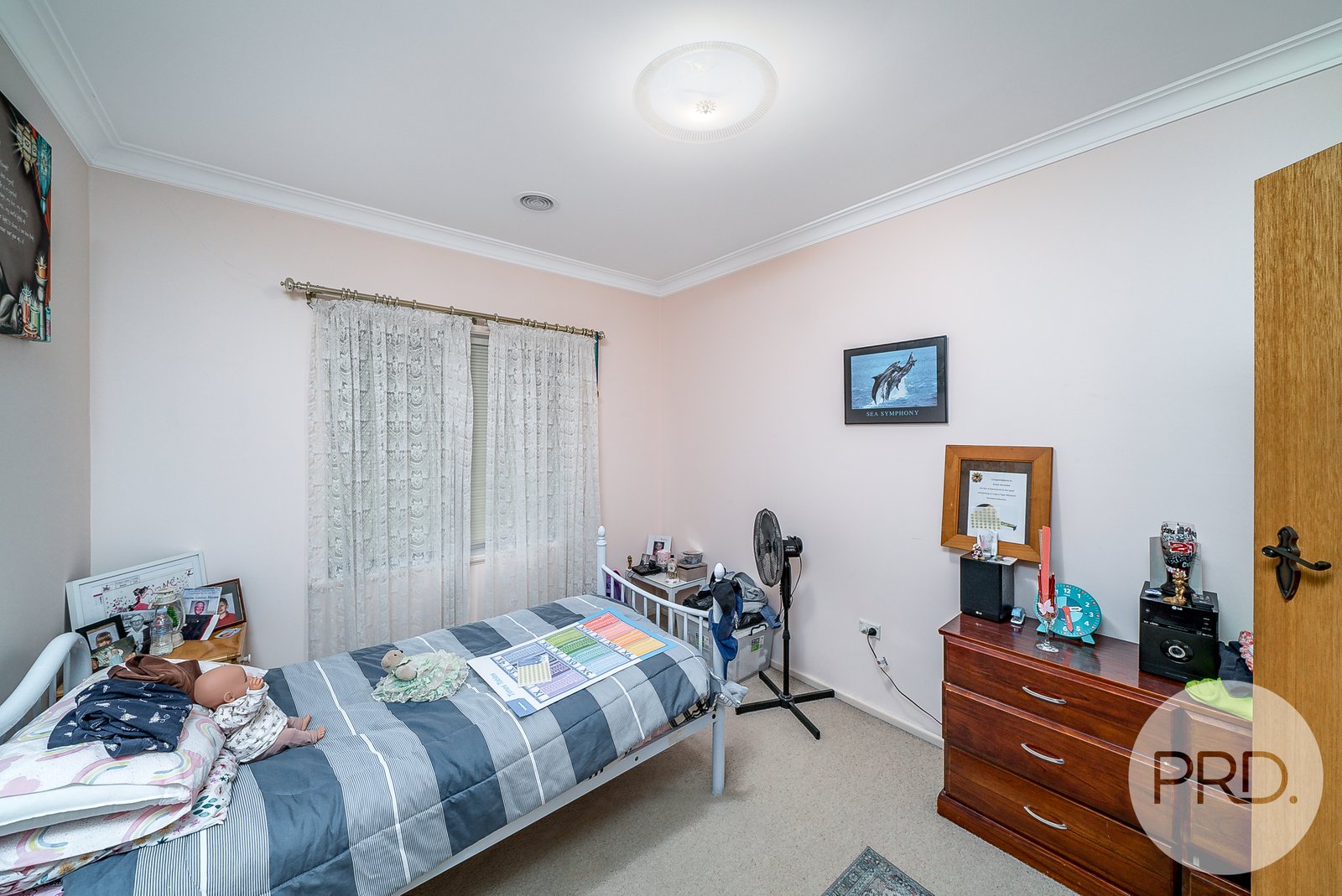 20 Freyberg Street ASHMONT 13