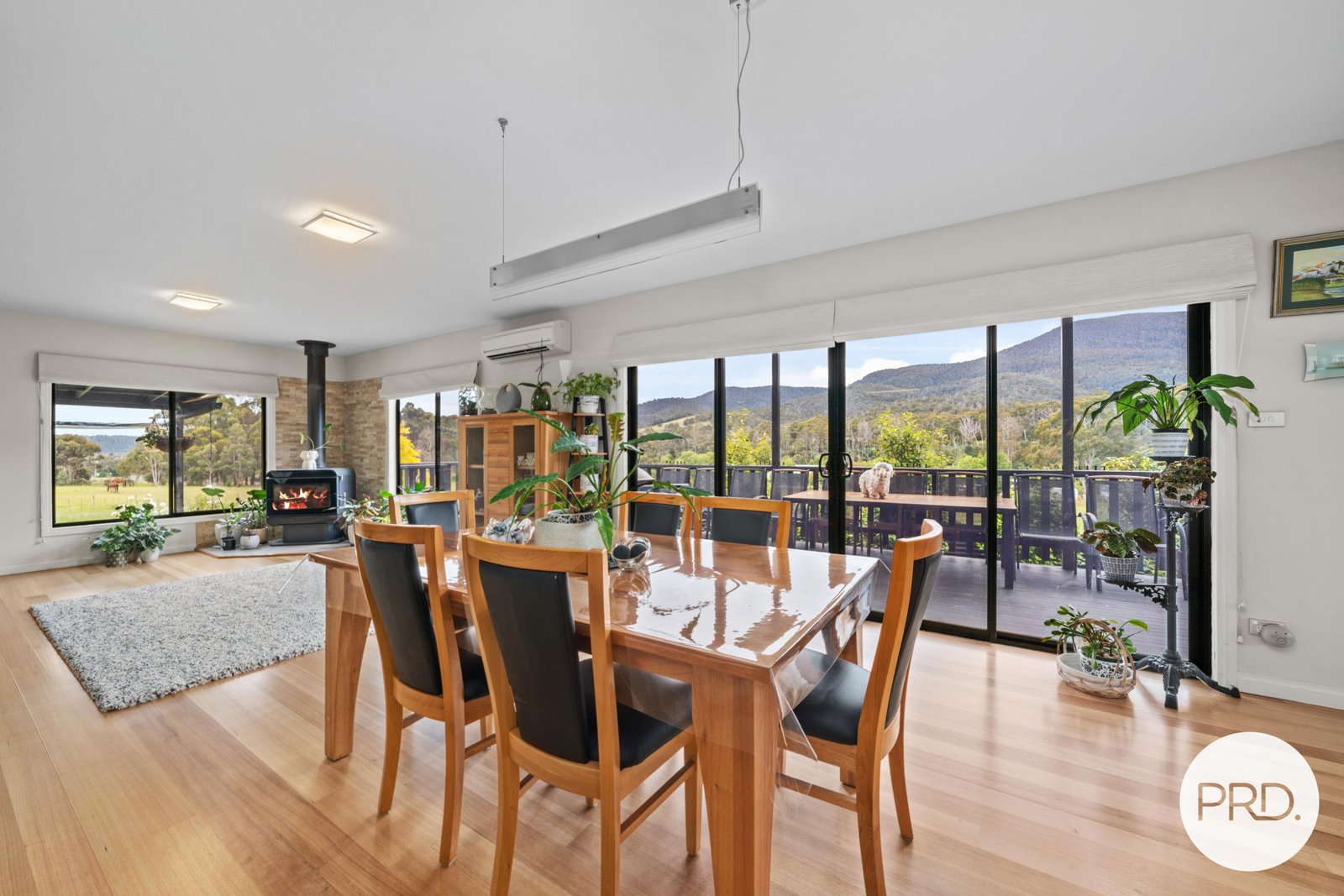 20 Gaul Lane LACHLAN 3