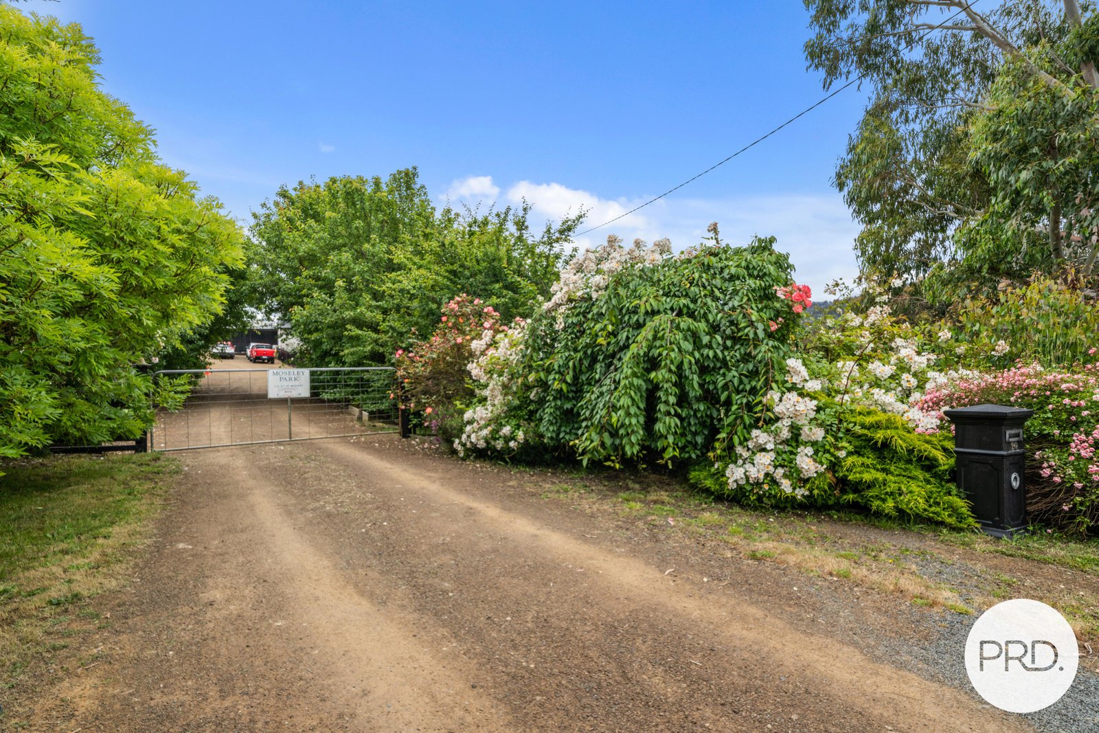 20 Gaul Lane LACHLAN 19