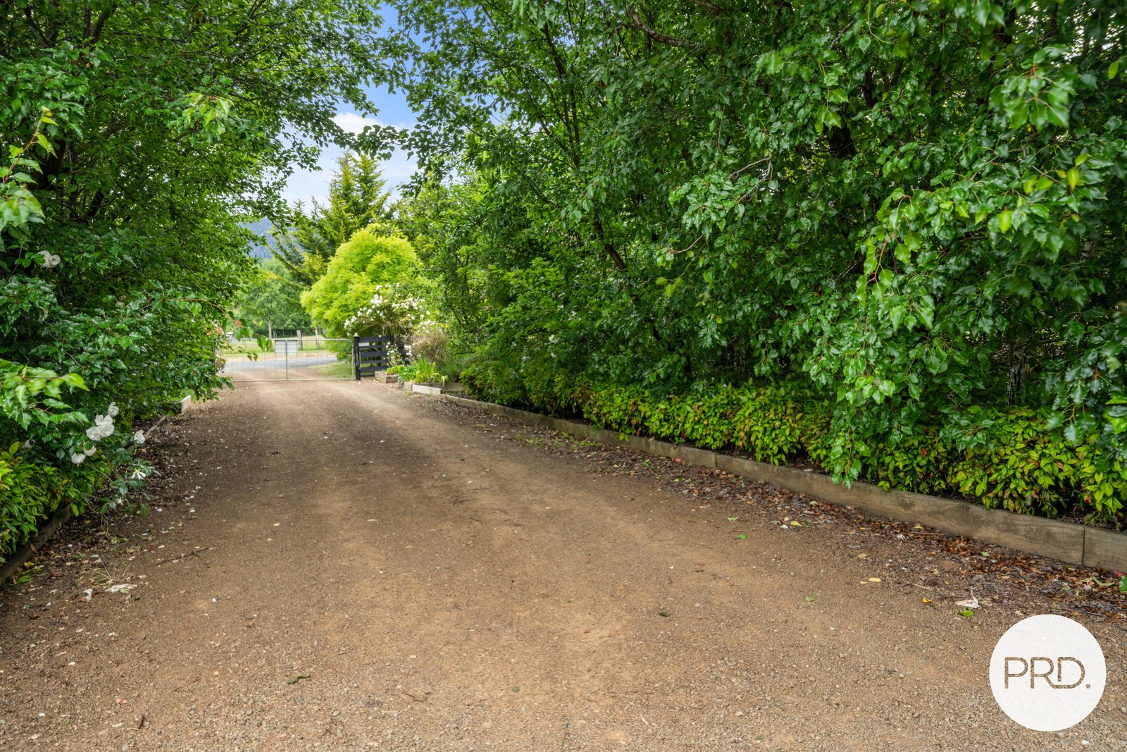 20 Gaul Lane LACHLAN 20