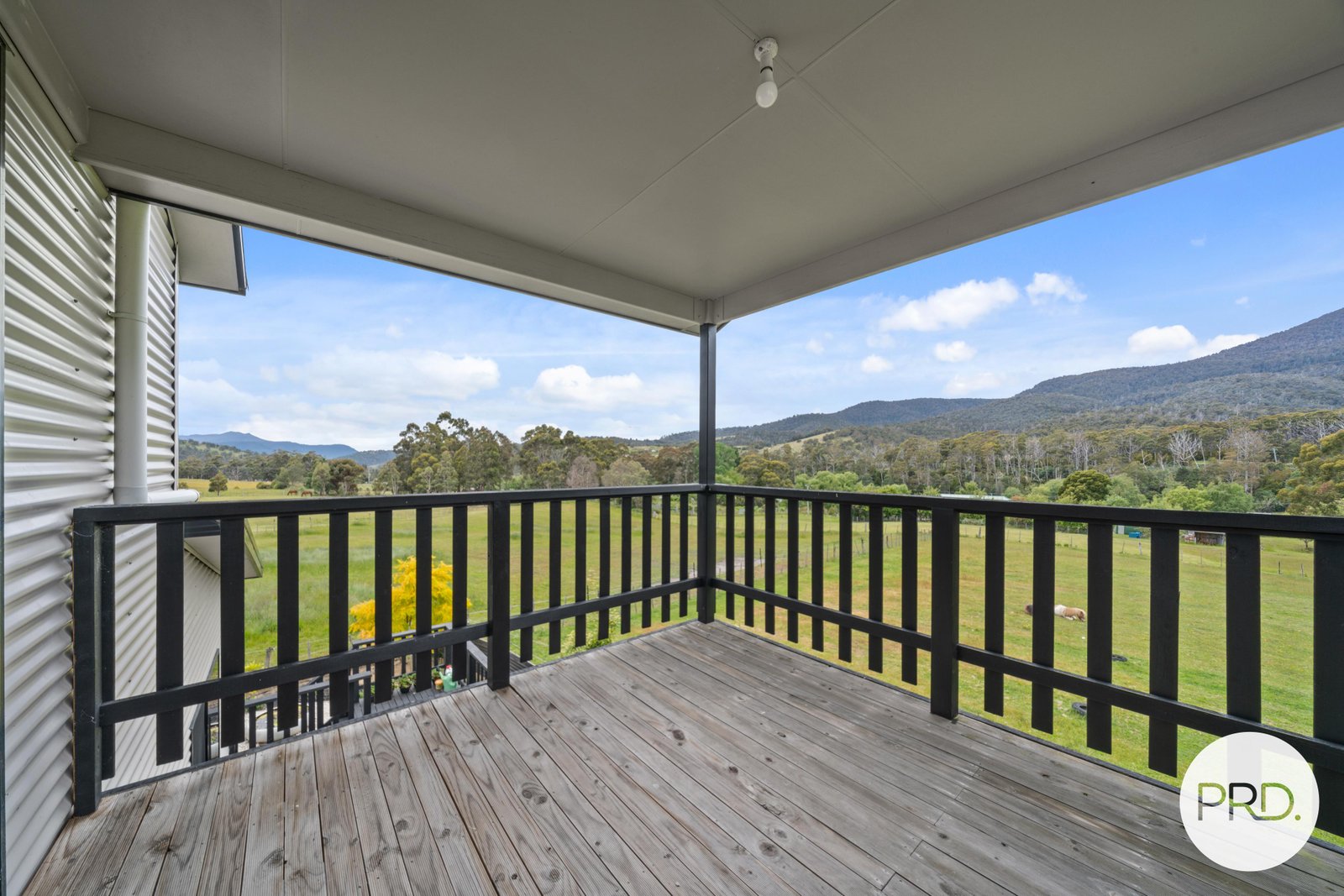 20 Gaul Lane LACHLAN 22