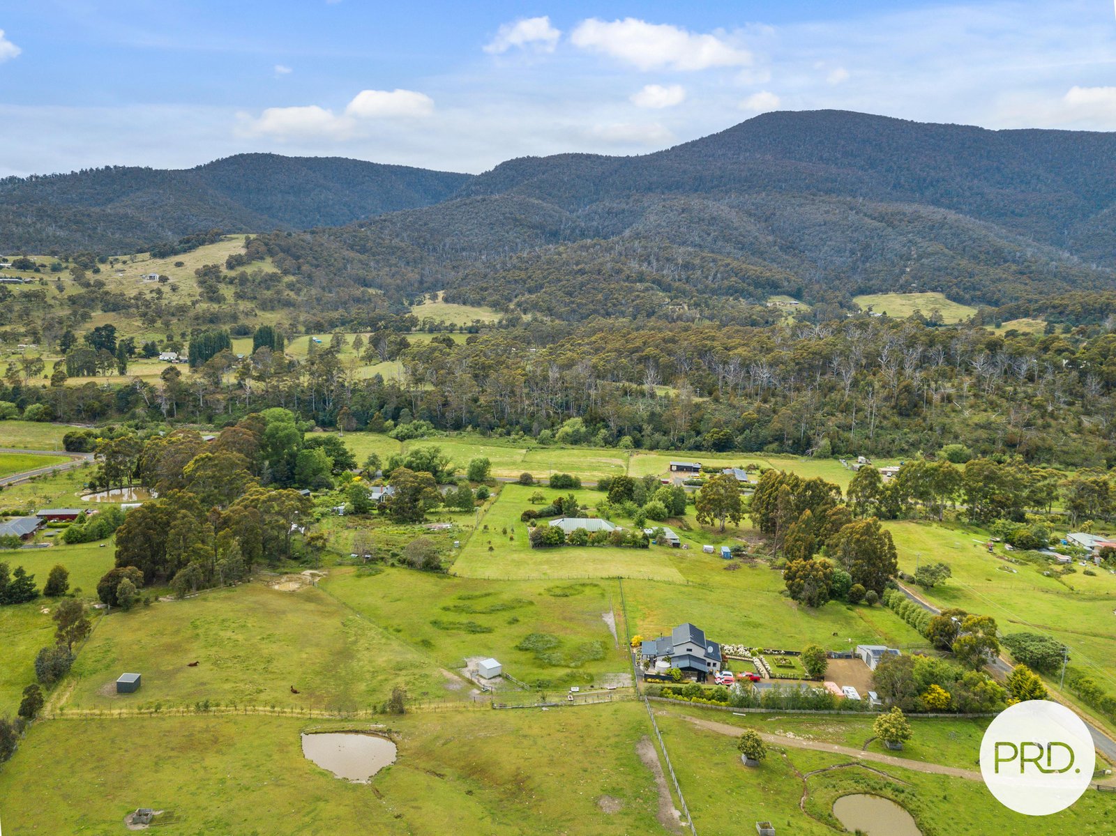 20 Gaul Lane LACHLAN 34