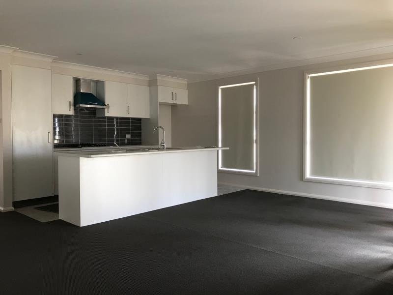 20 Goodwin Street TAMWORTH 2