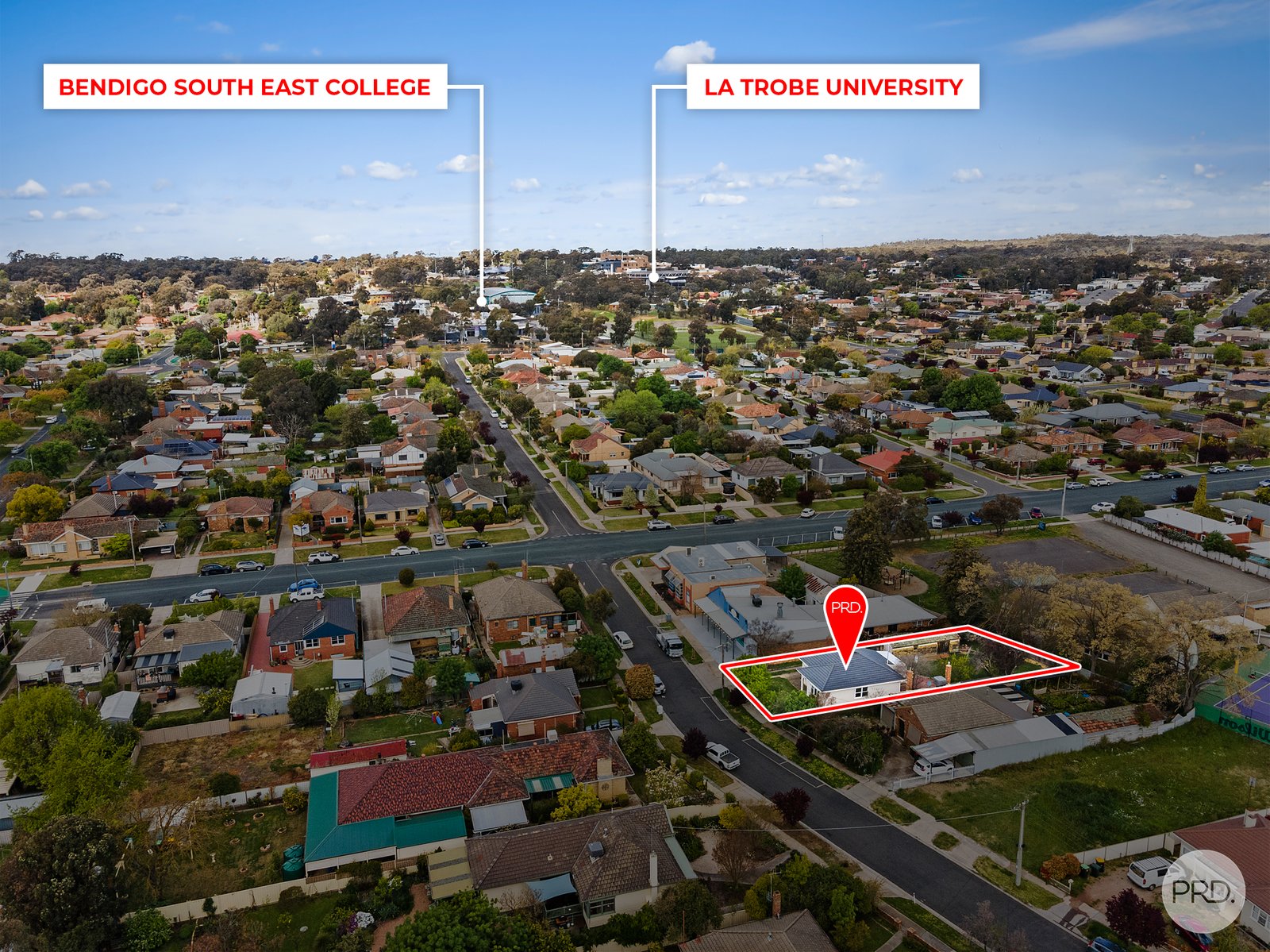 20 Hammer Street FLORA HILL 11