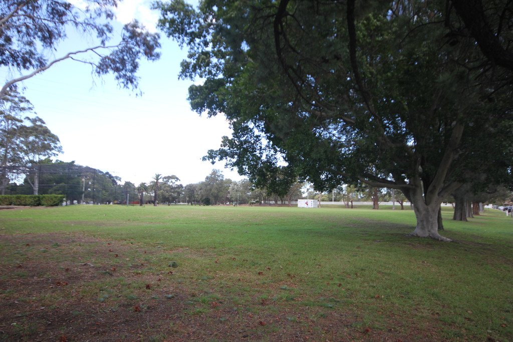 20 Henderson Road BEXLEY 12