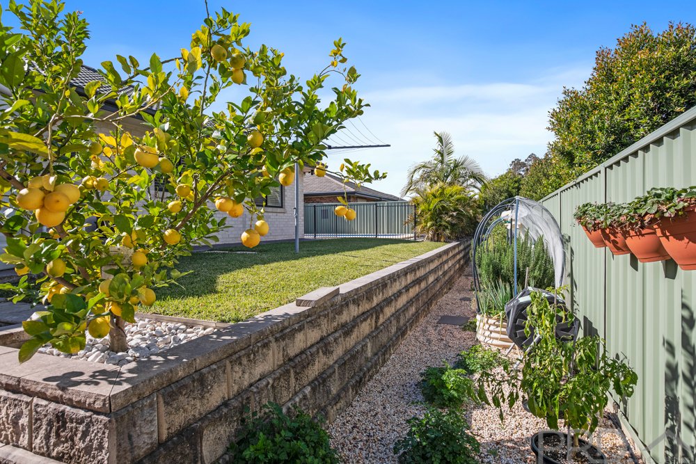 20 Hinchinbrook Close ASHTONFIELD 20