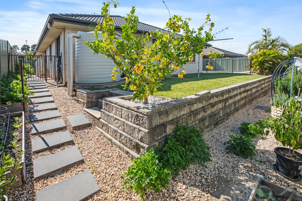 20 Hinchinbrook Close ASHTONFIELD 21