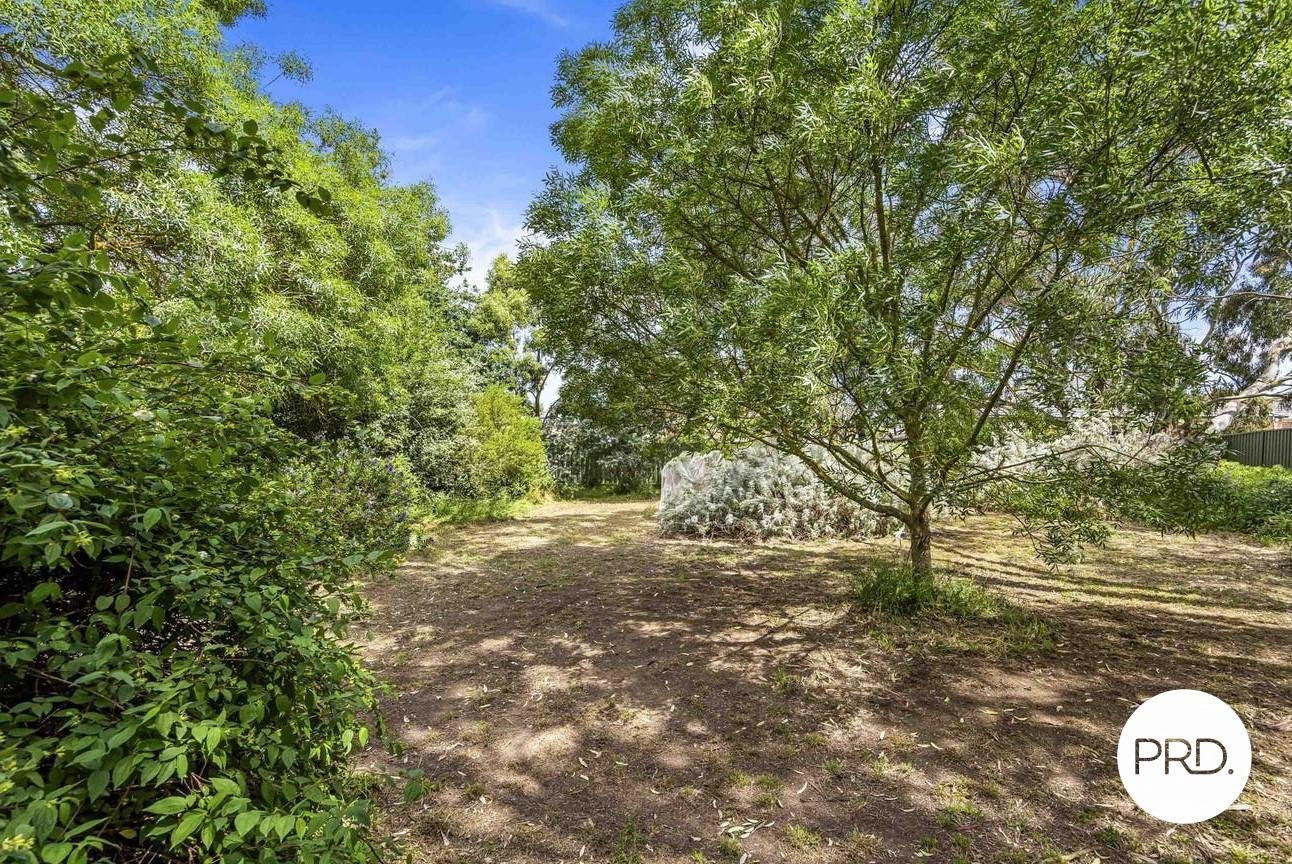 20 Howard Street SEBASTOPOL 7