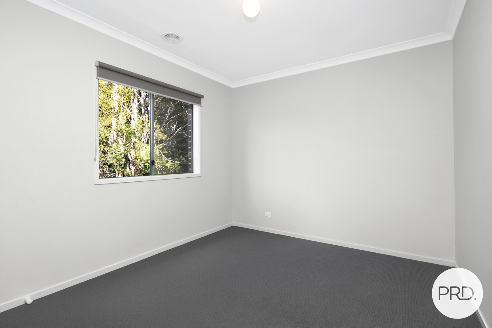 20 Jory Street CRESWICK 11