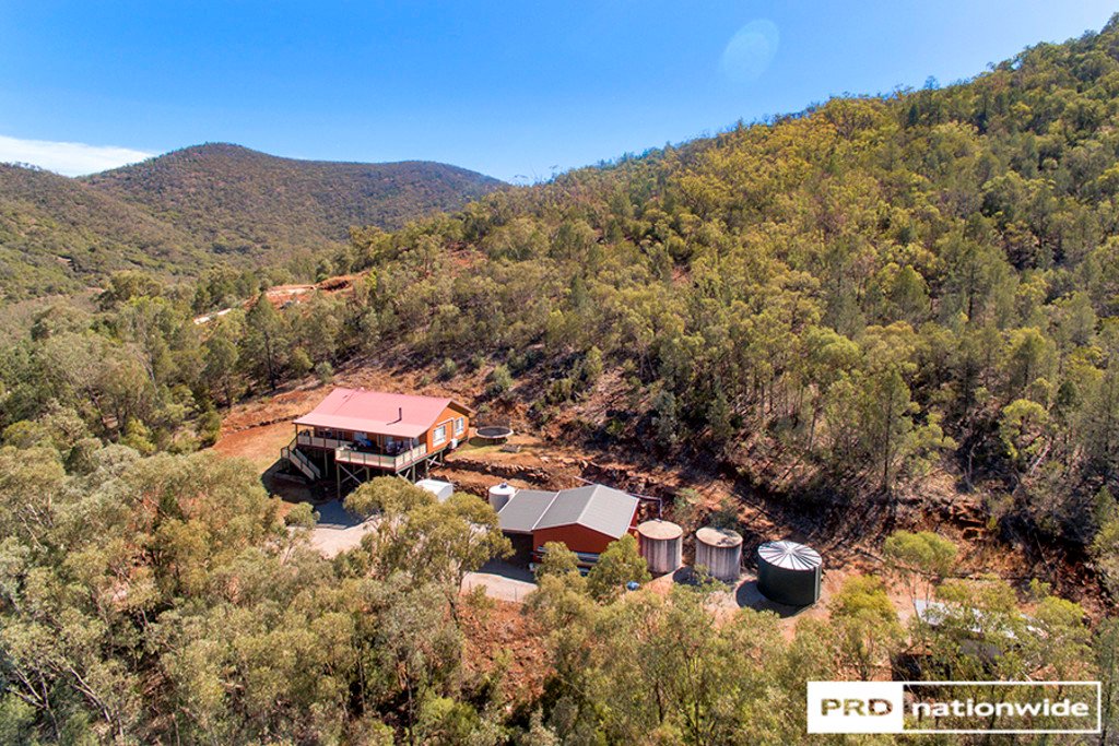 20 Katrina Court TAMWORTH 1