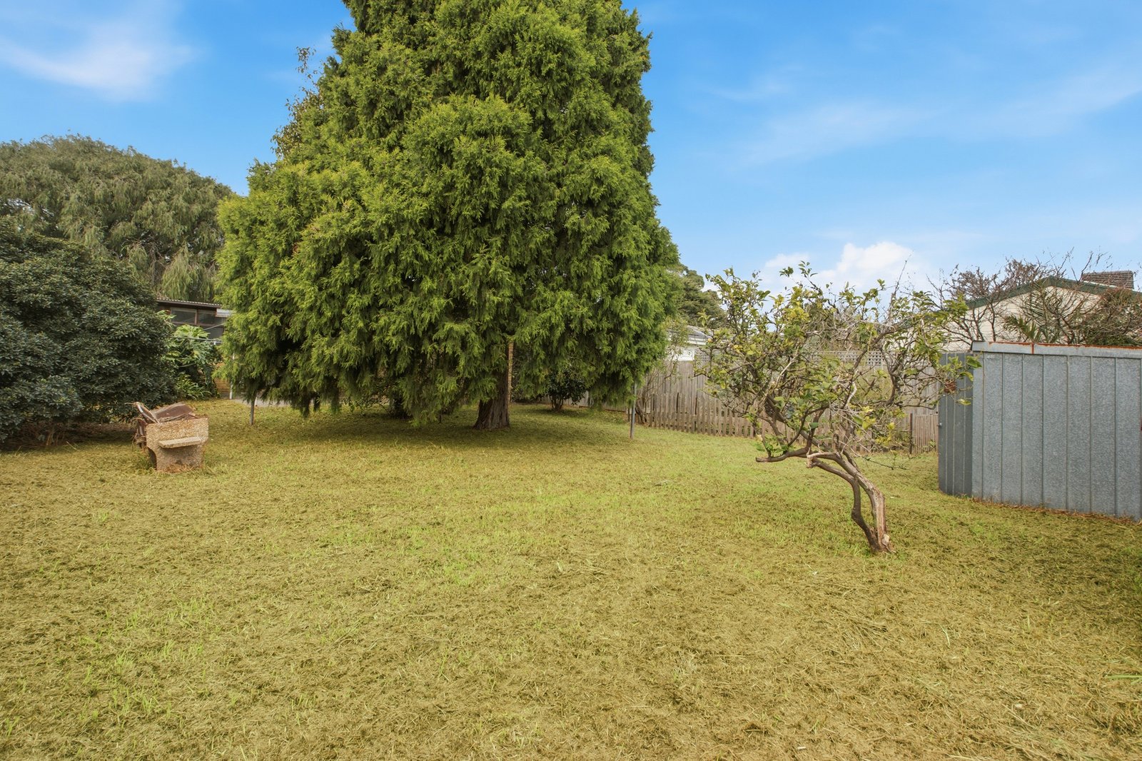 Gallery: 20 Keefer Street