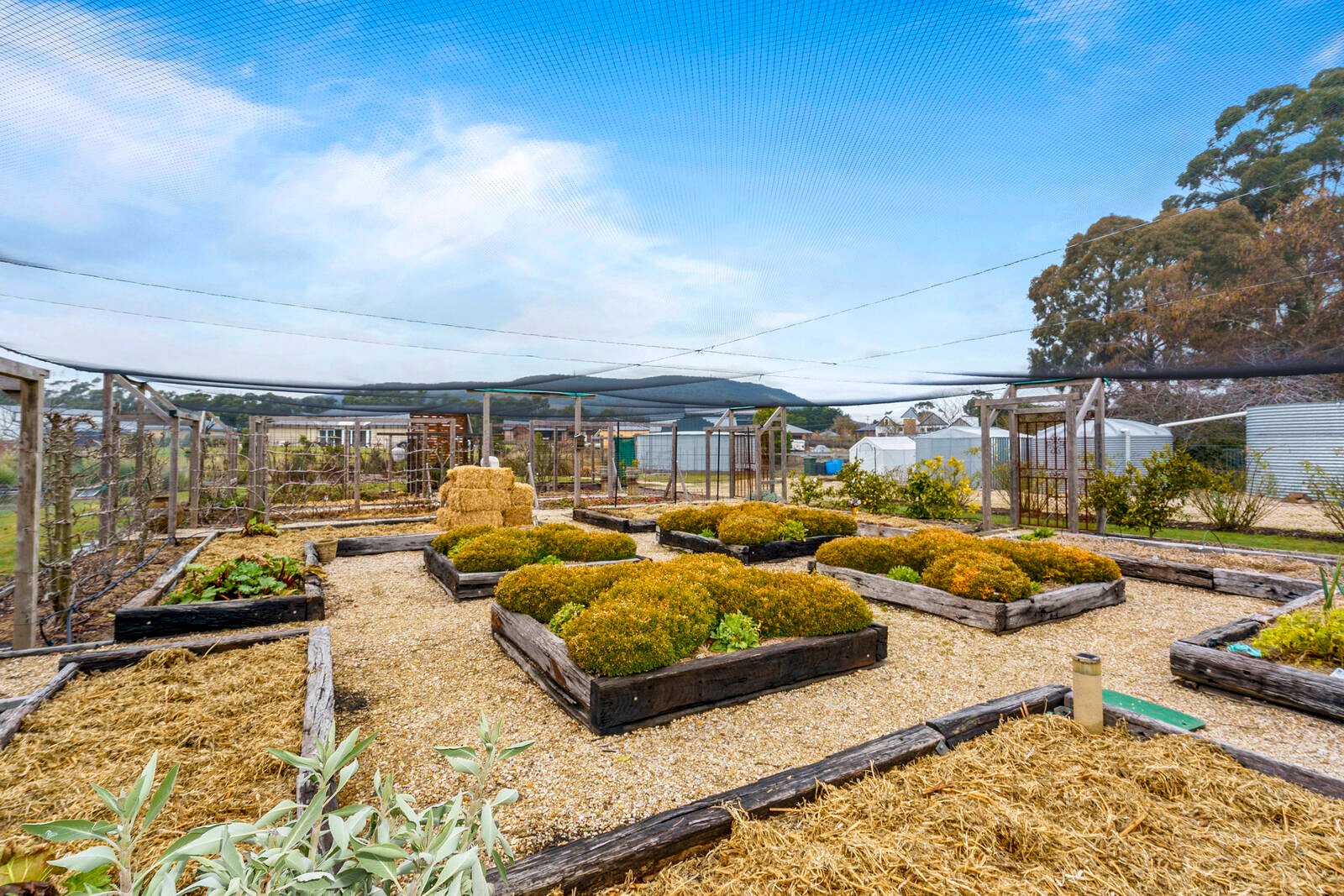 Real Estate and Property in 20 Ladye Place, Woodend, VIC