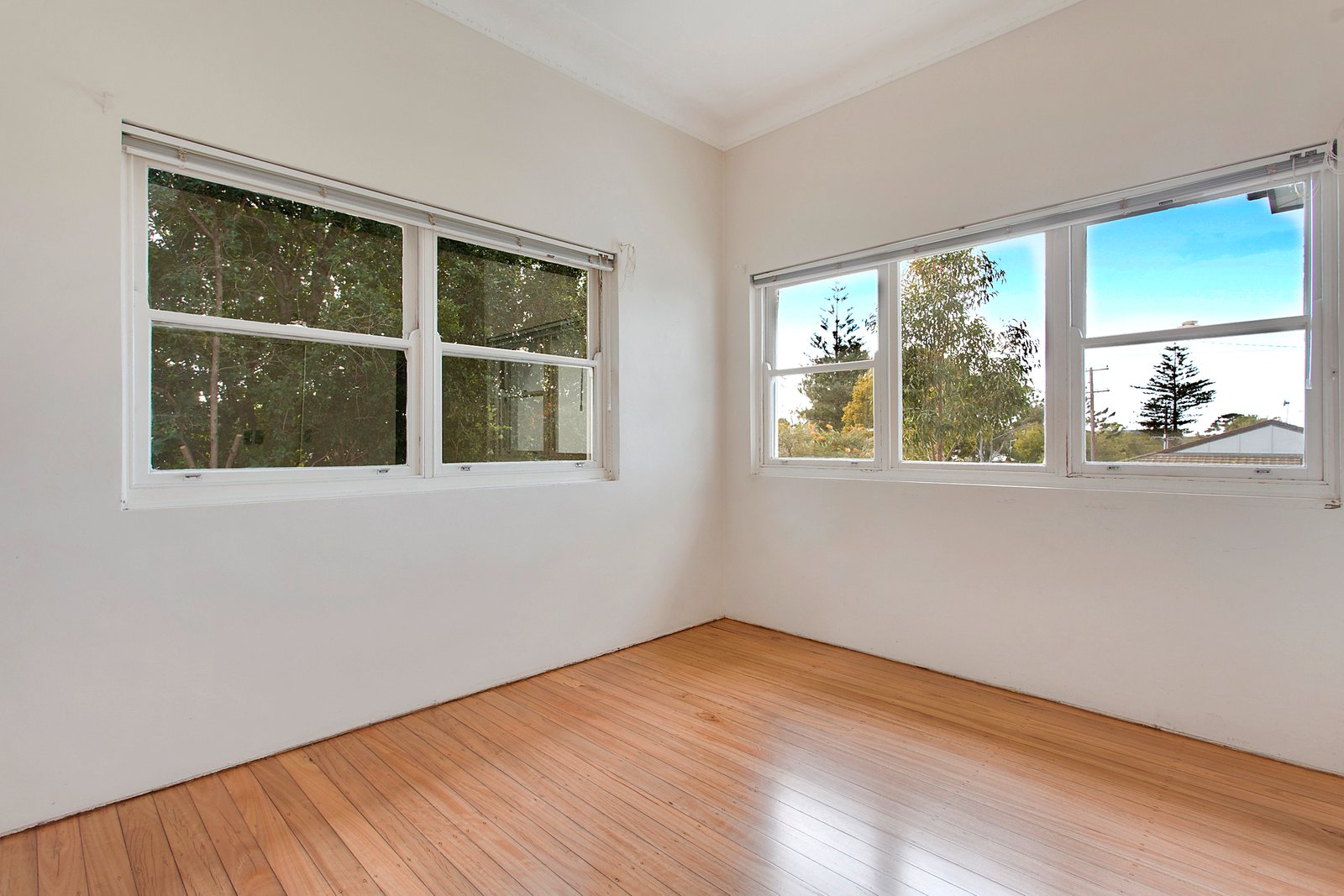 20 Laurie Street LAURIETON 5