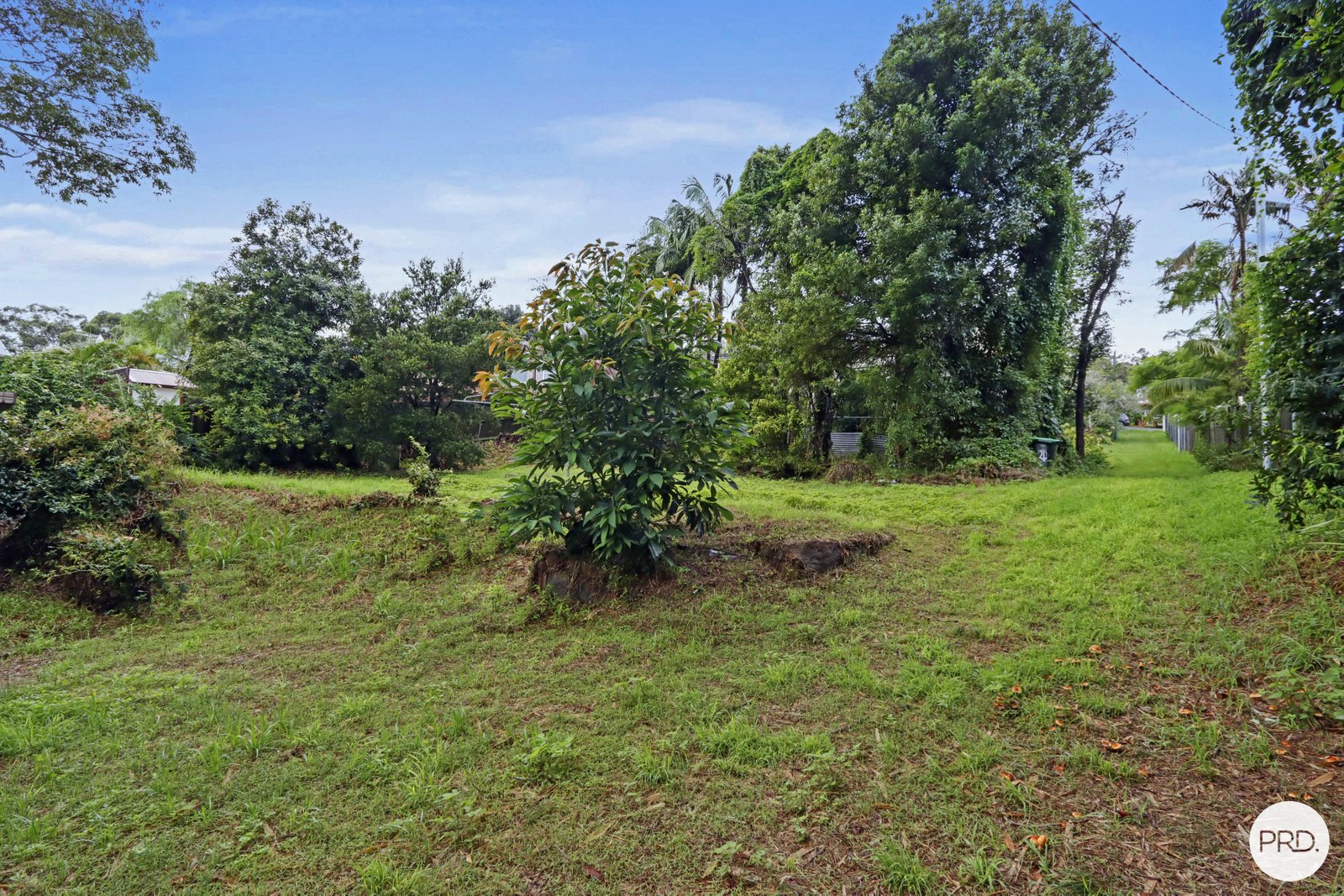 20 Llewellyn Street OATLEY 2