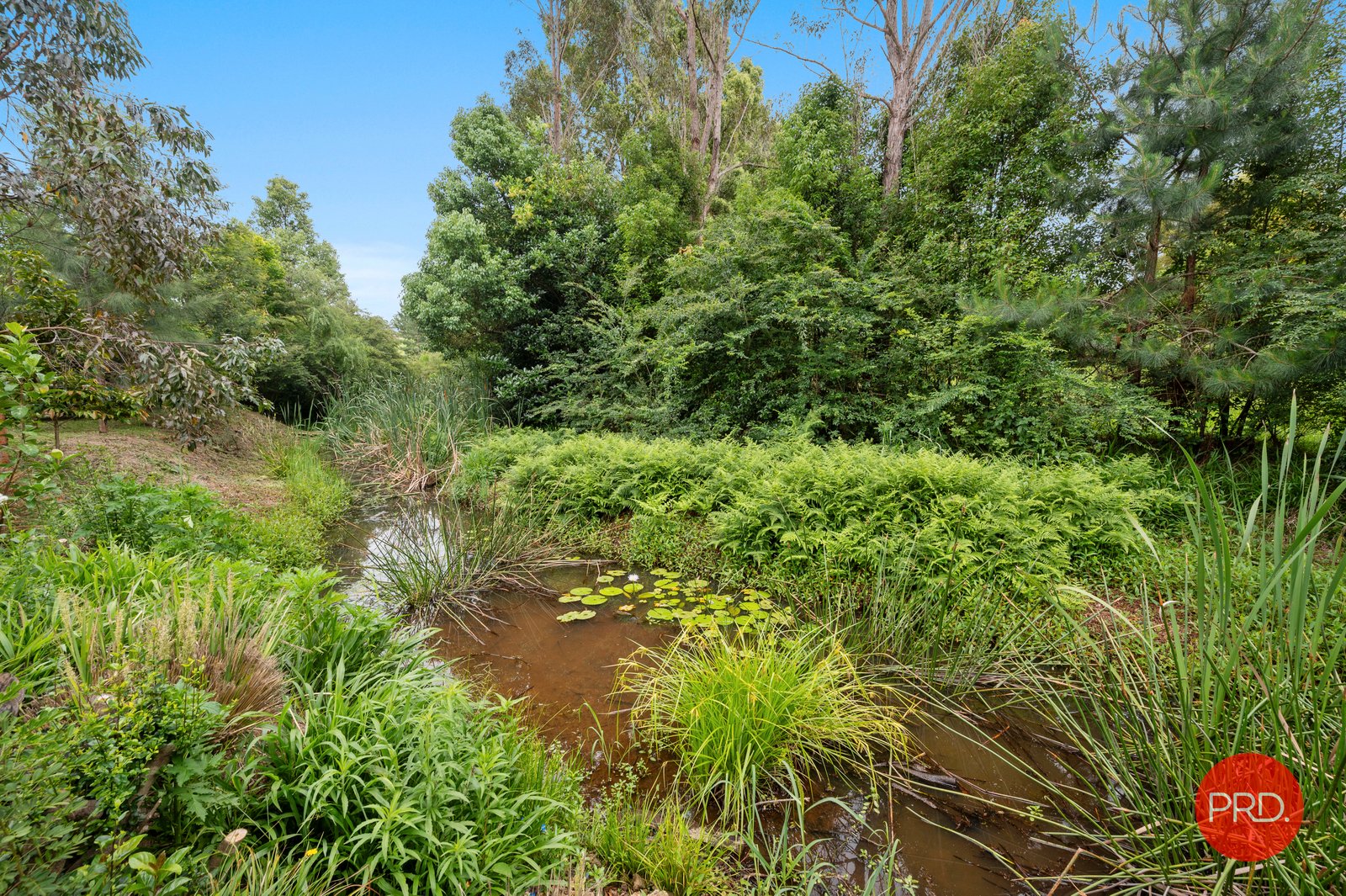 20 McCristal Drive BELLINGEN 25