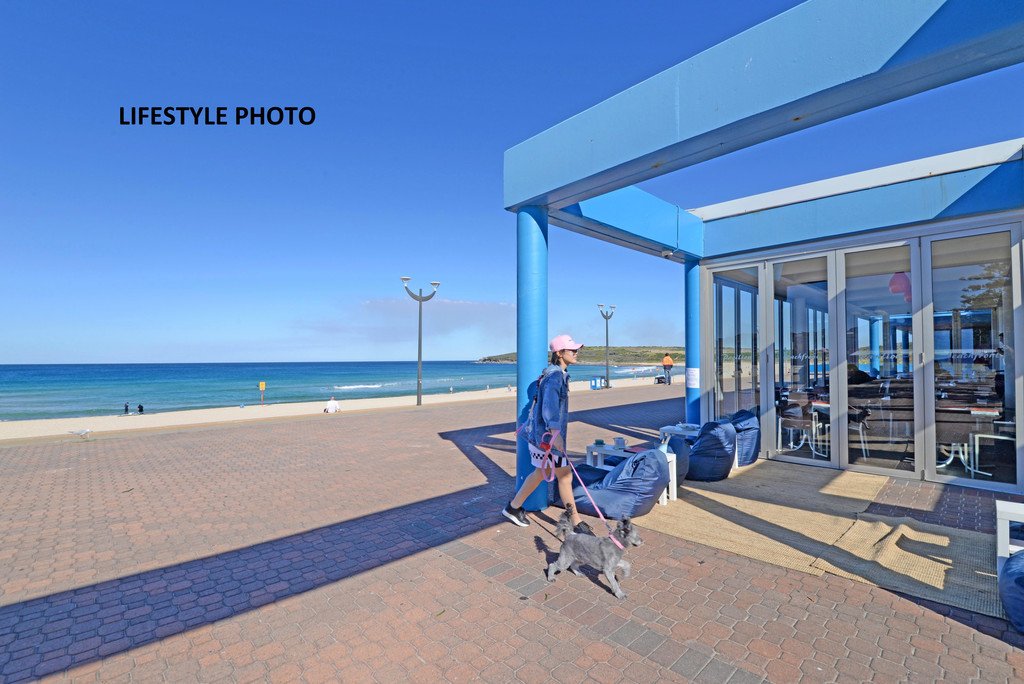 20 Mons Avenue MAROUBRA 16