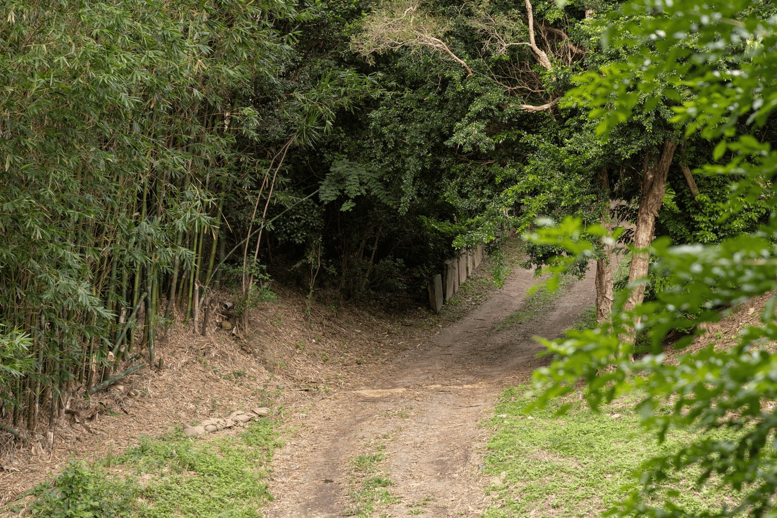 20 Nakula Street GAVEN 23