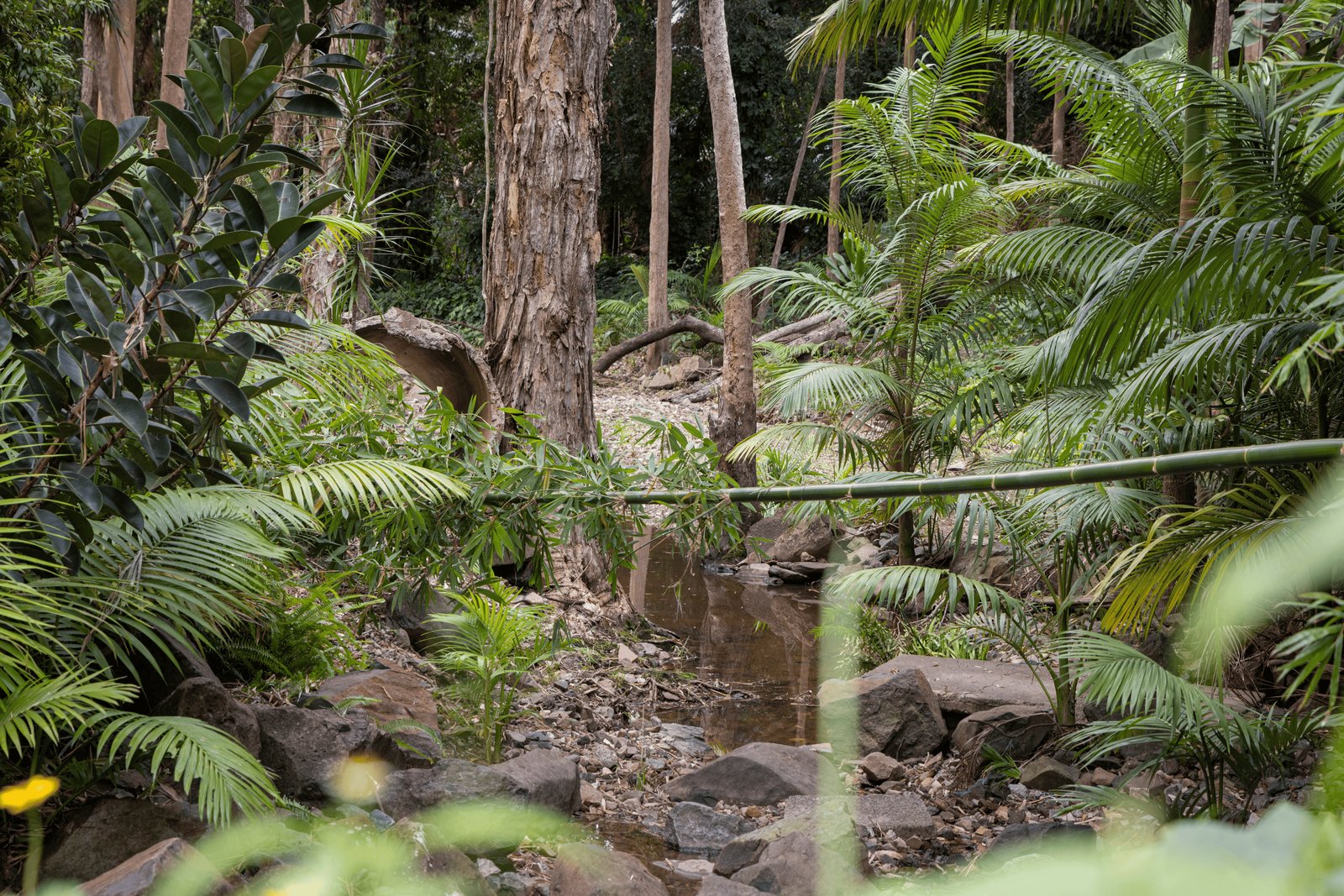 20 Nakula Street GAVEN 28