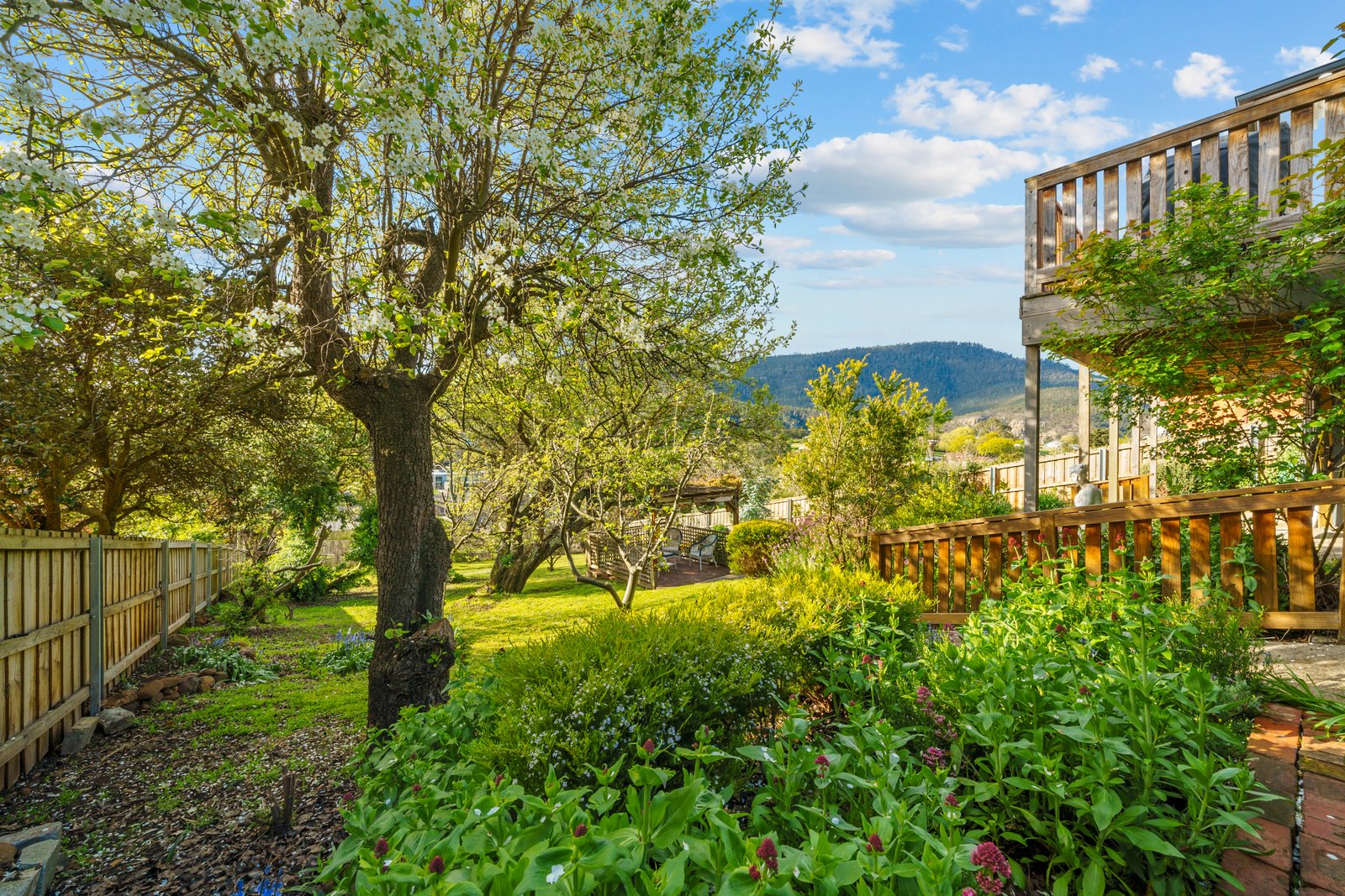 20 Pioneer Avenue NEW NORFOLK 22