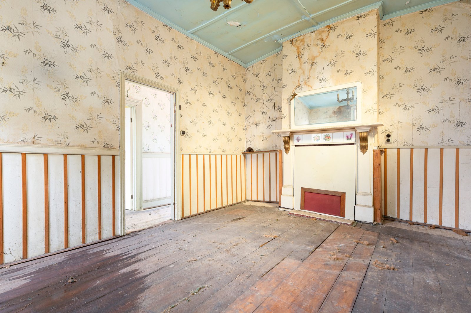 Gallery: 20 Prentice Street