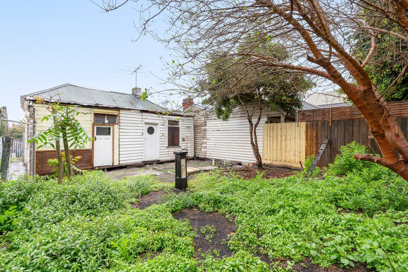 Gallery: 20 Prentice Street
