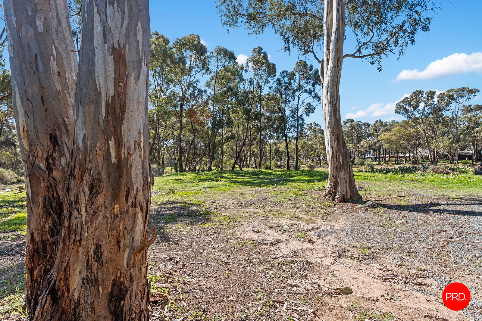 20 Prestons Road EPSOM 9