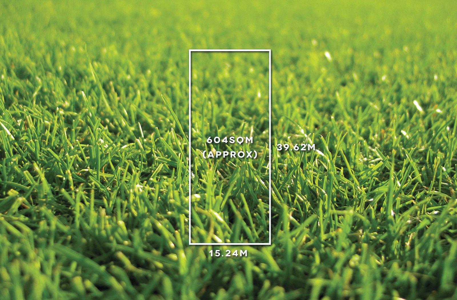 20 Prior Road, Malvern East, VIC