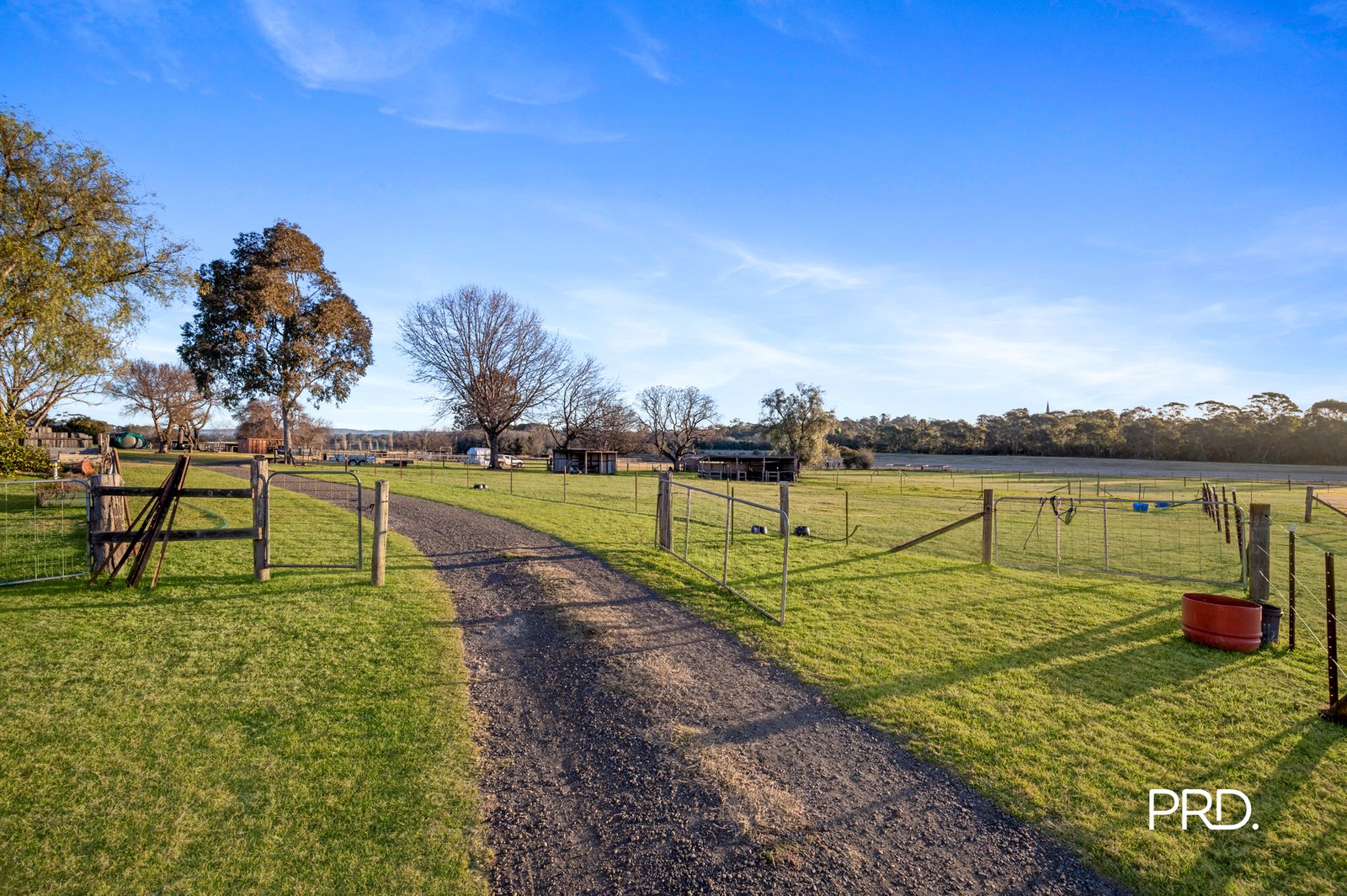 20 Purcell Street ELDERSLIE 14