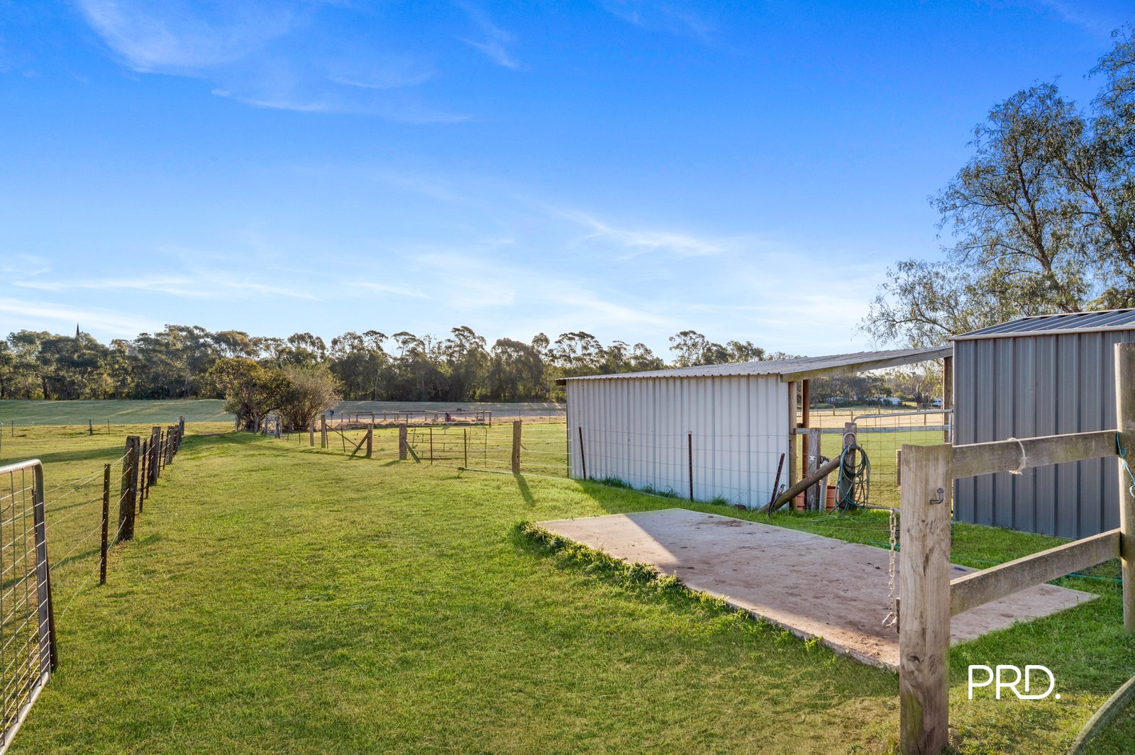 20 Purcell Street ELDERSLIE 19