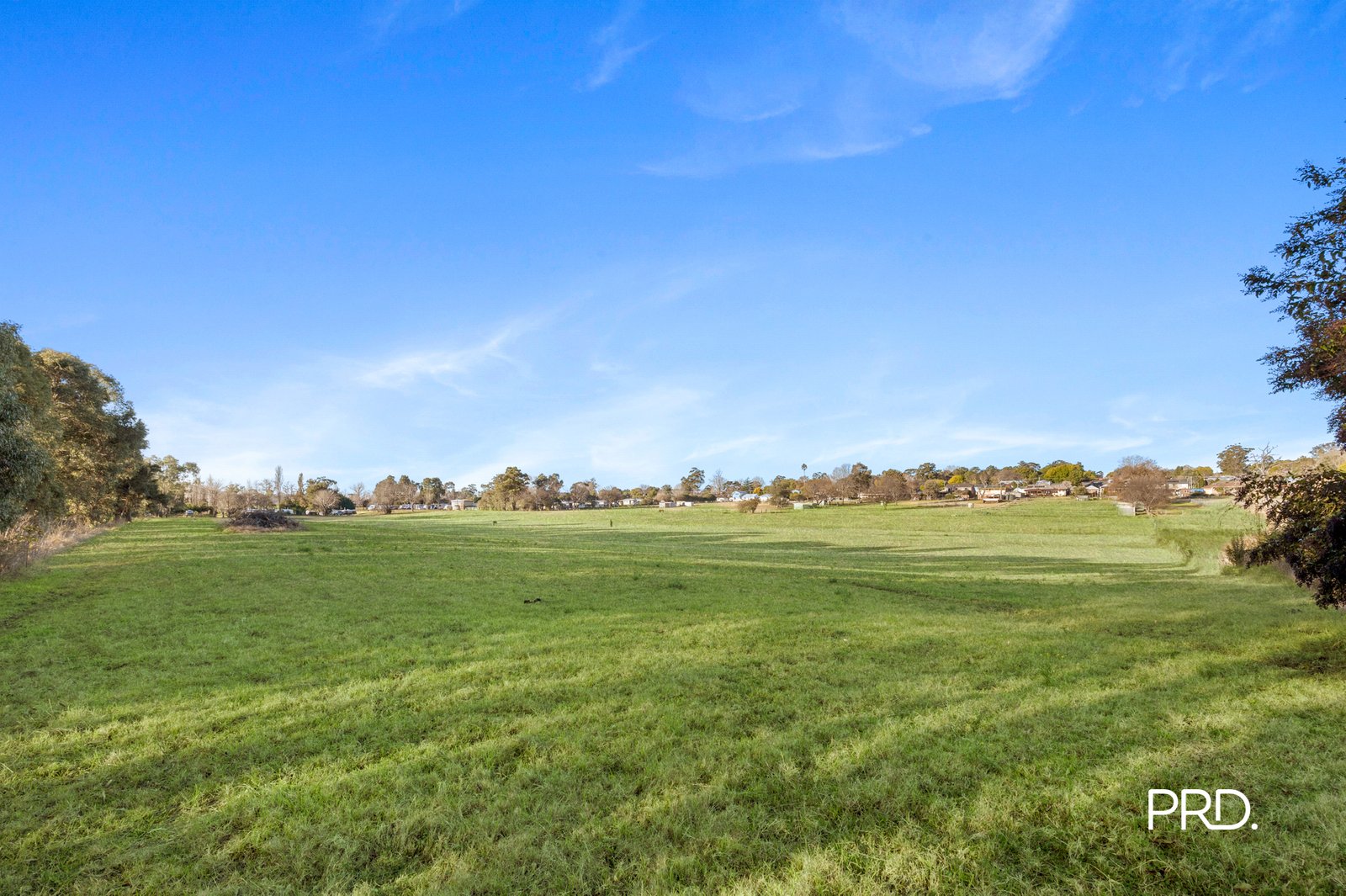 20 Purcell Street ELDERSLIE 29