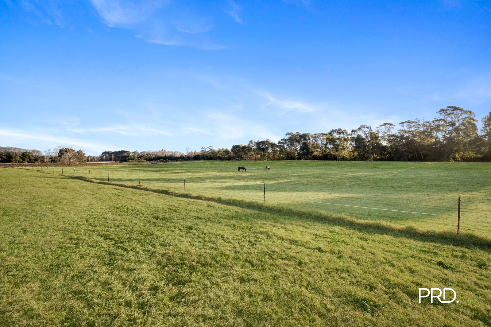 20 Purcell Street ELDERSLIE 30